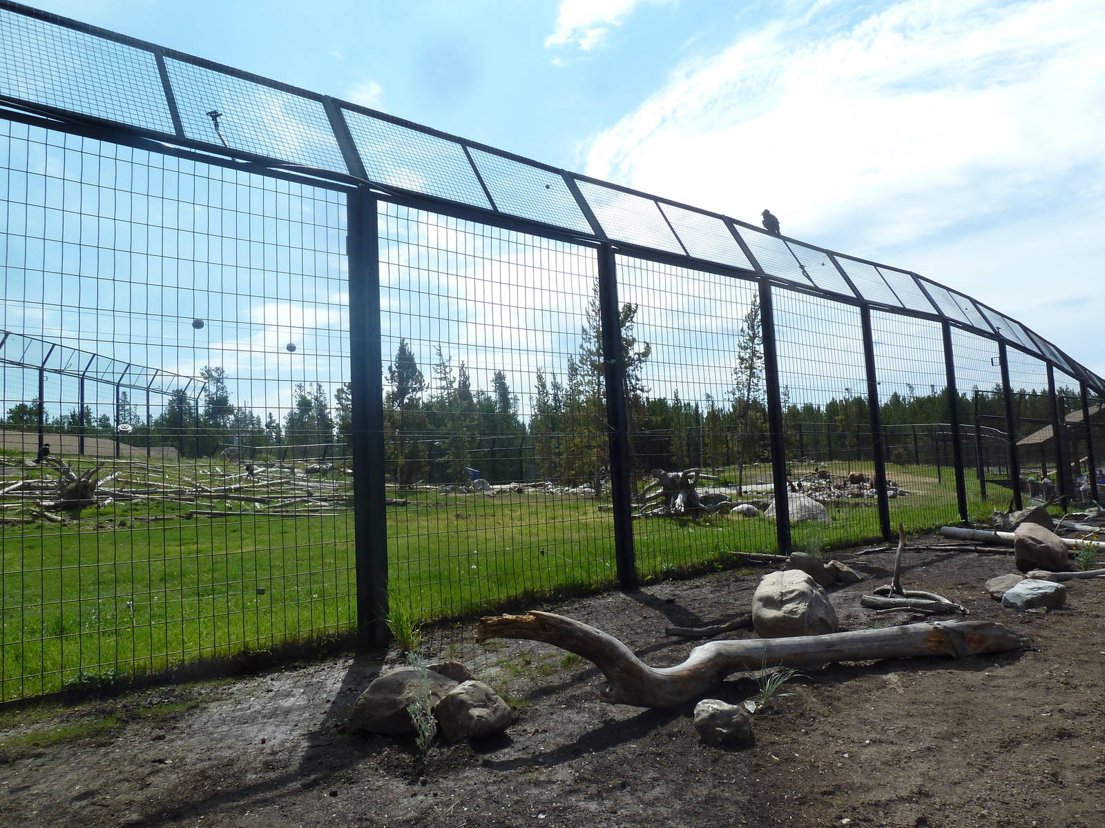 Grizzly Bear Exhibit