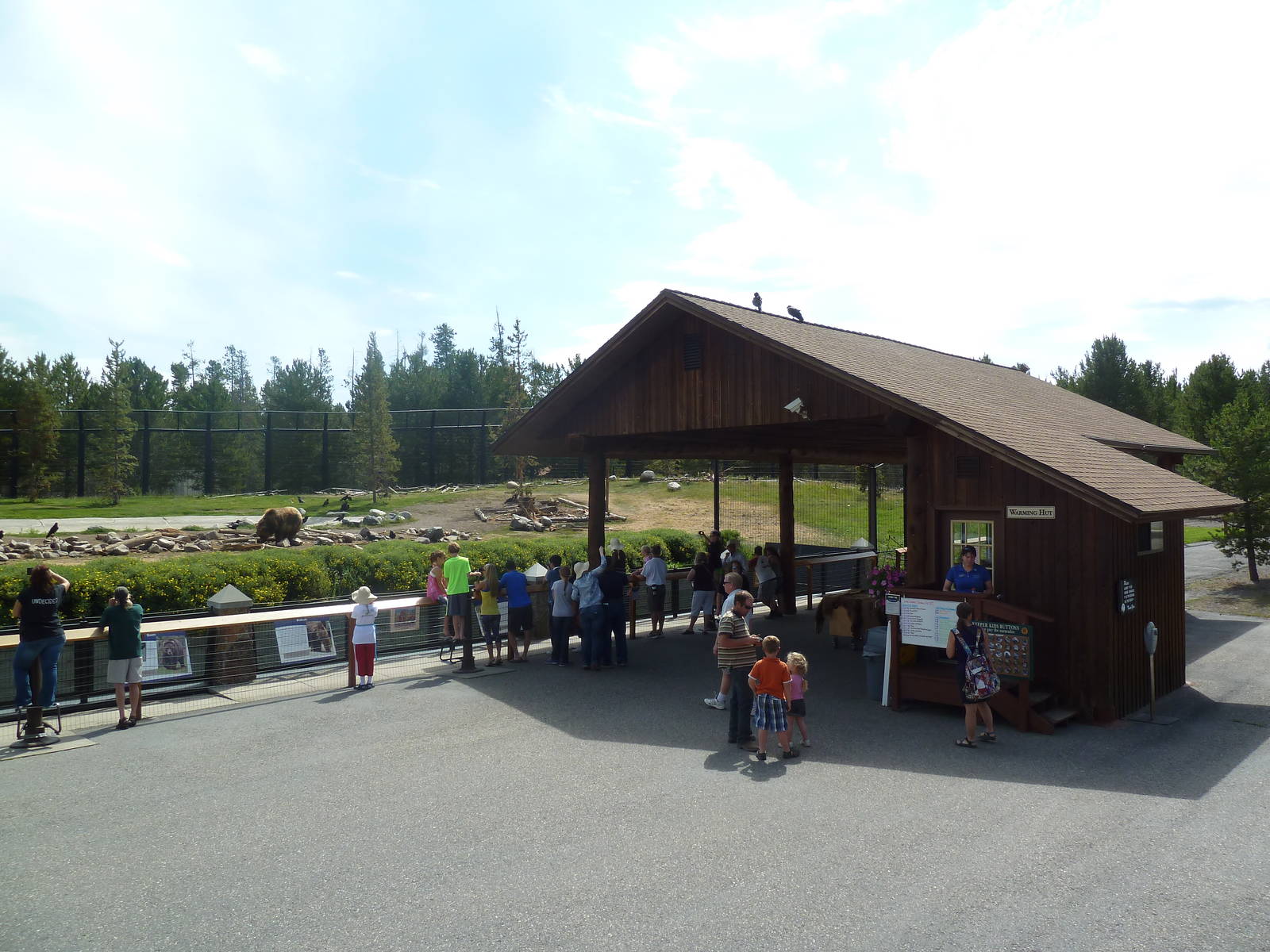 Grizzly Bear Exhibit