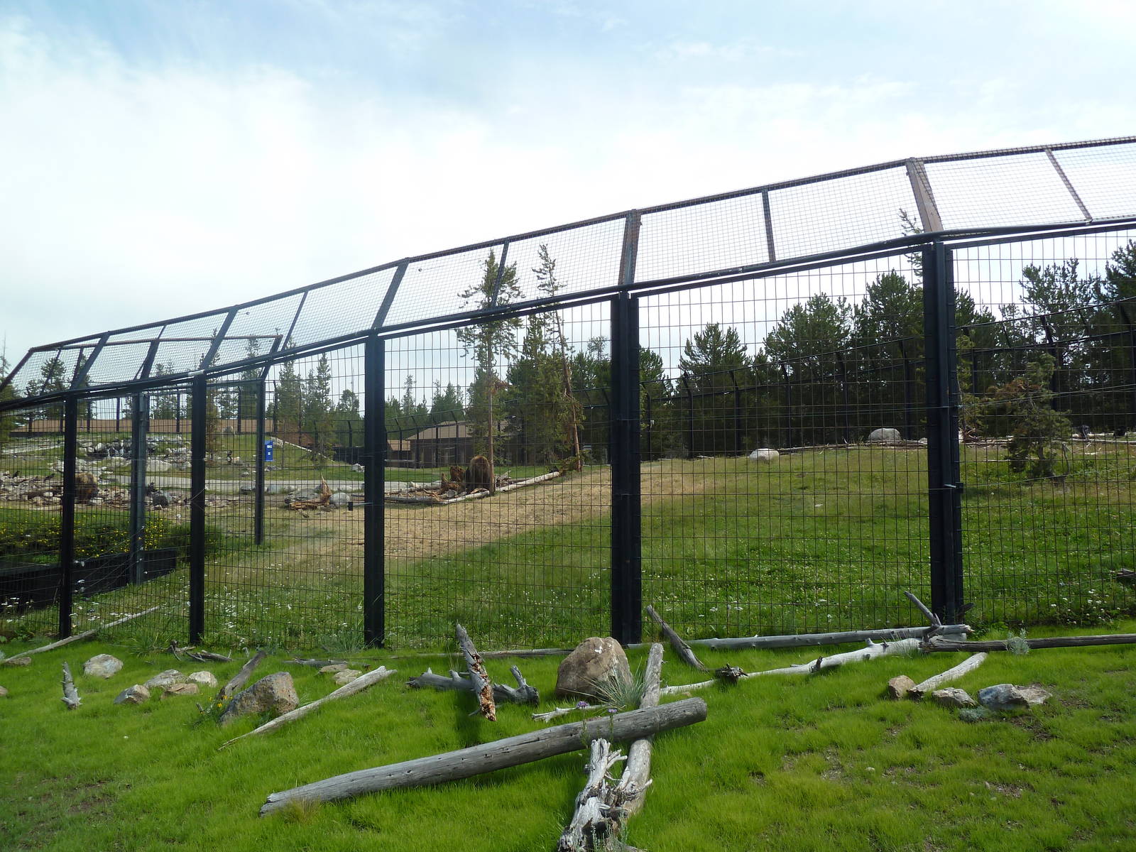 Grizzly Bear Exhibit