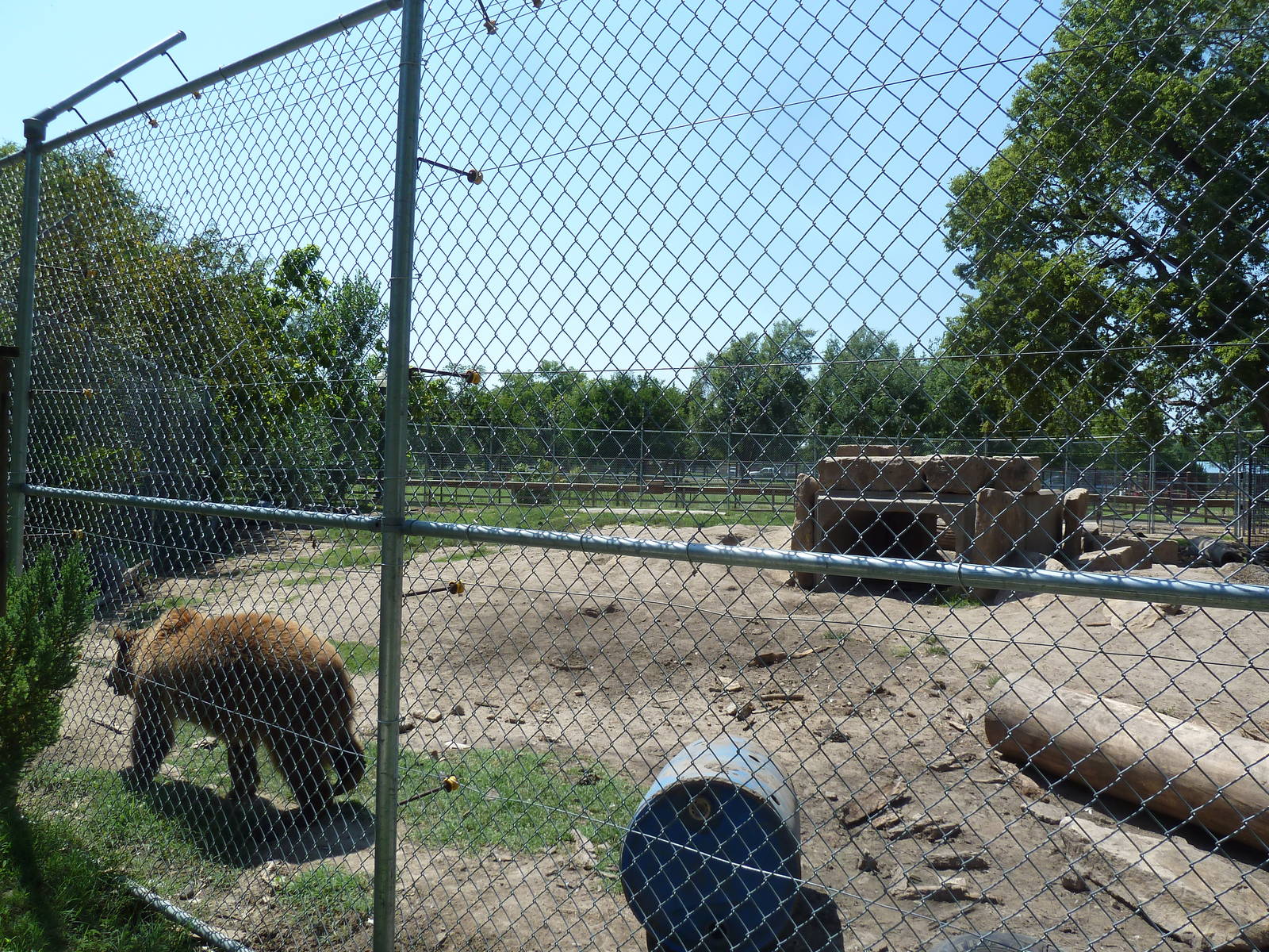 Grizzly Bear Exhibit