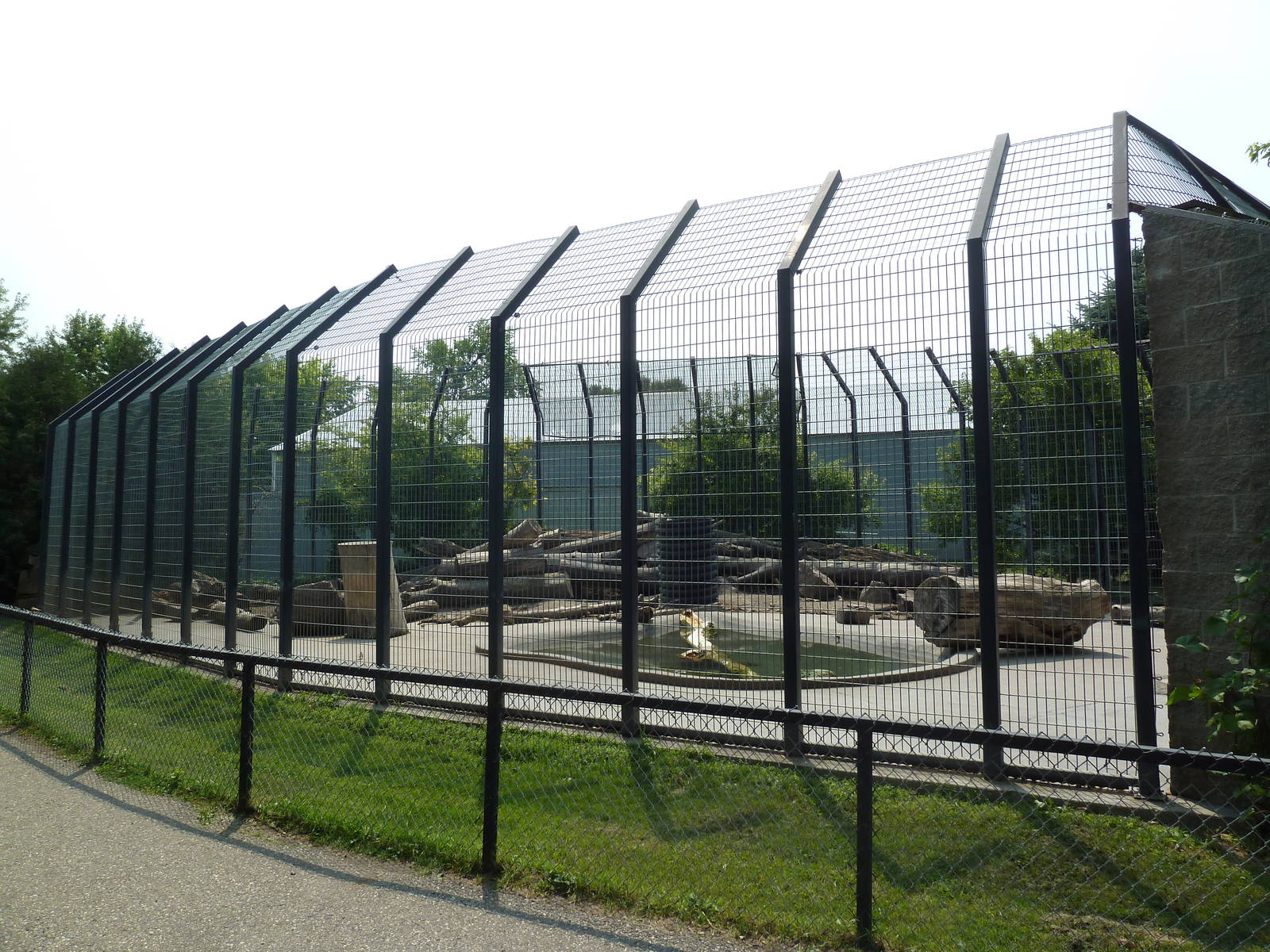 Grizzly Bear Exhibit