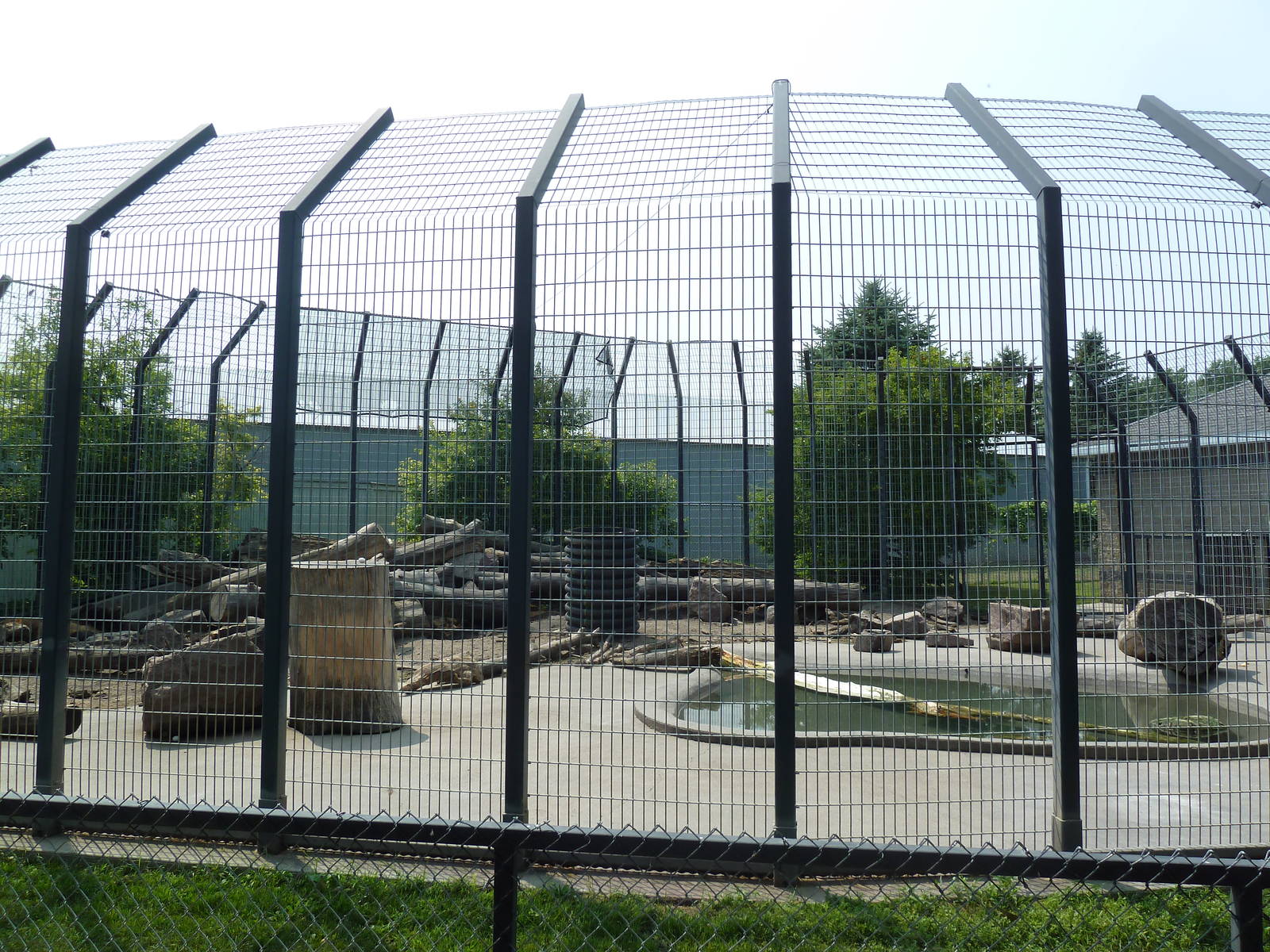 Grizzly Bear Exhibit