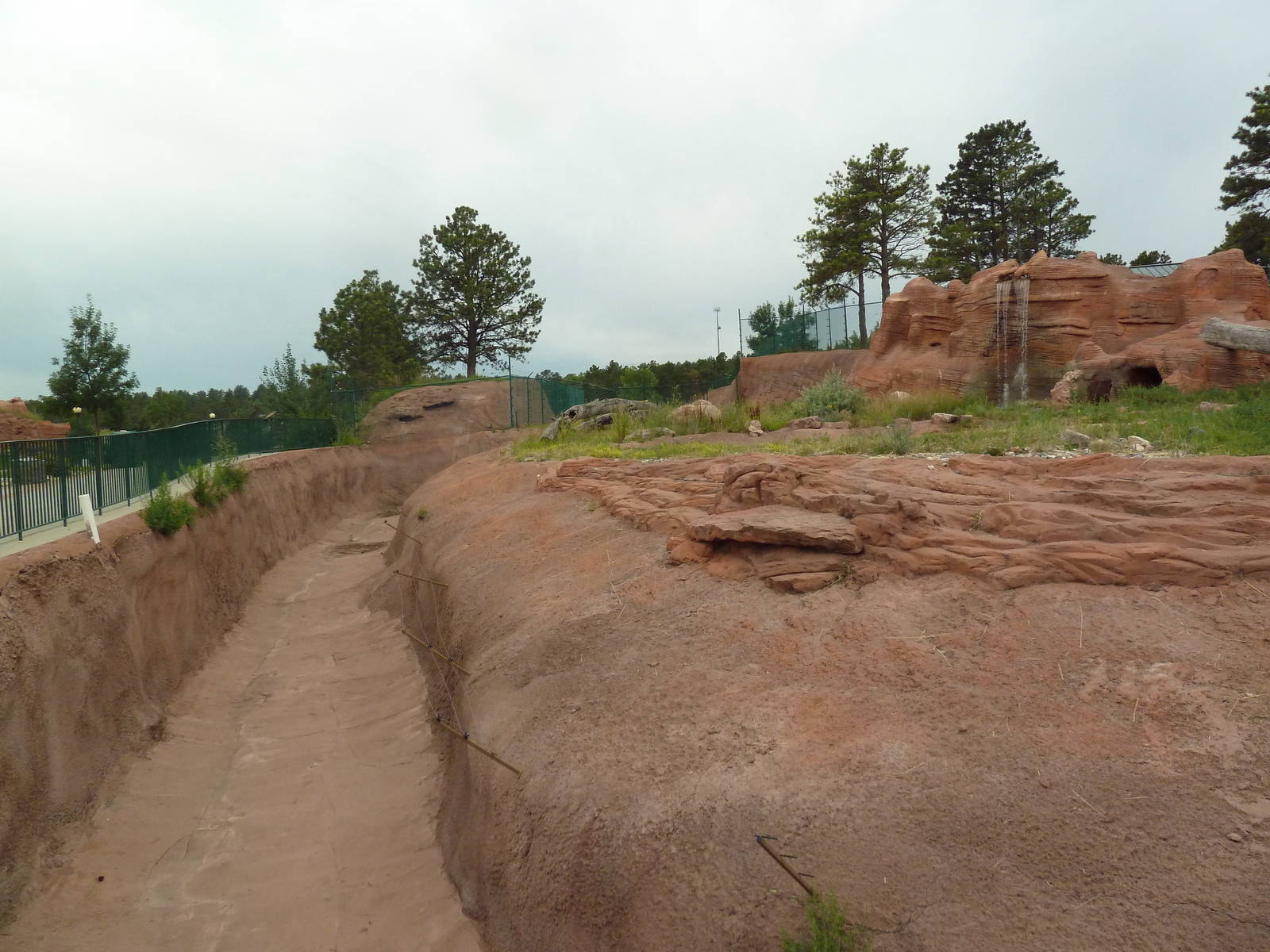 Grizzly Bear Exhibit