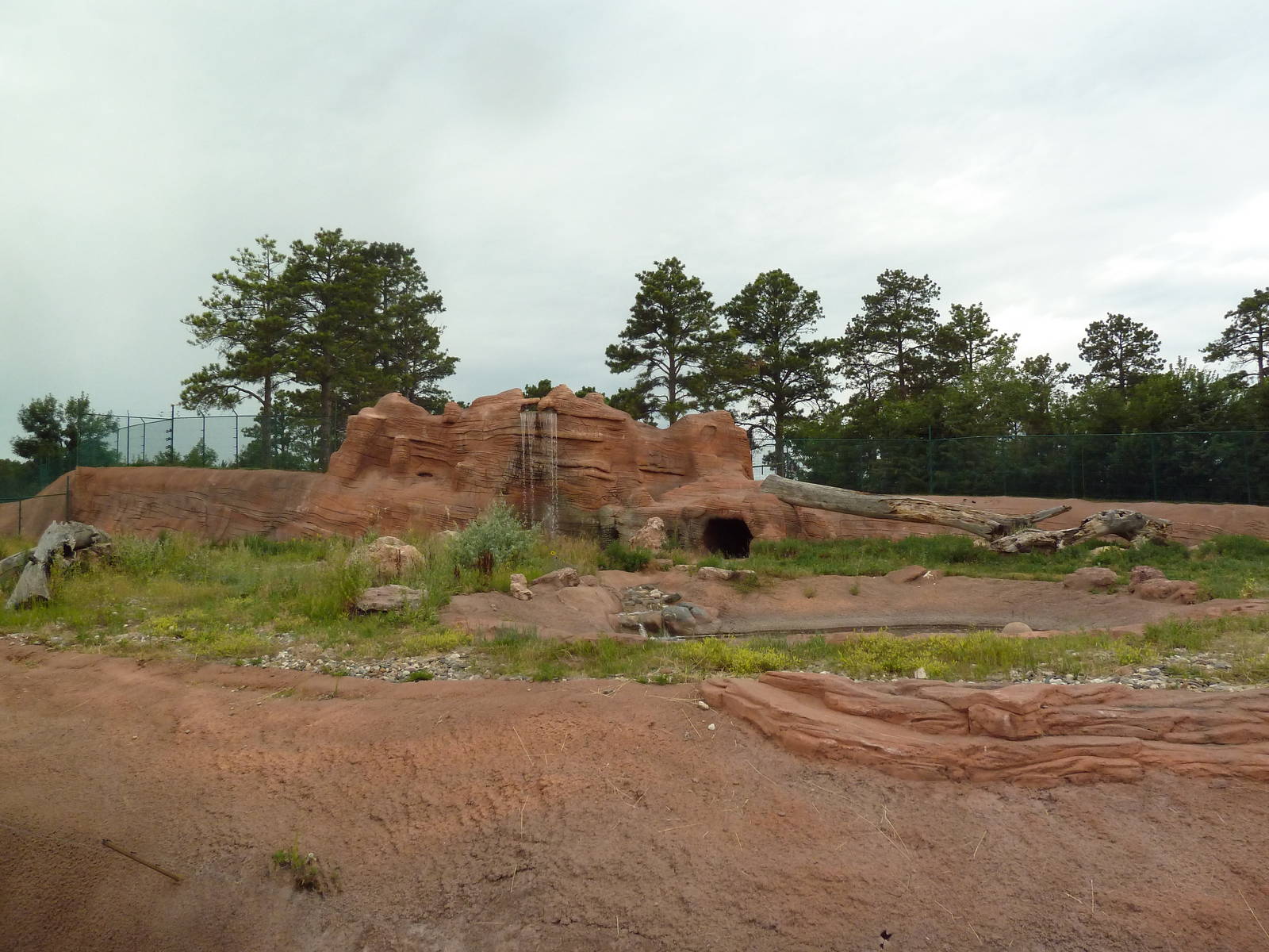 Grizzly Bear Exhibit