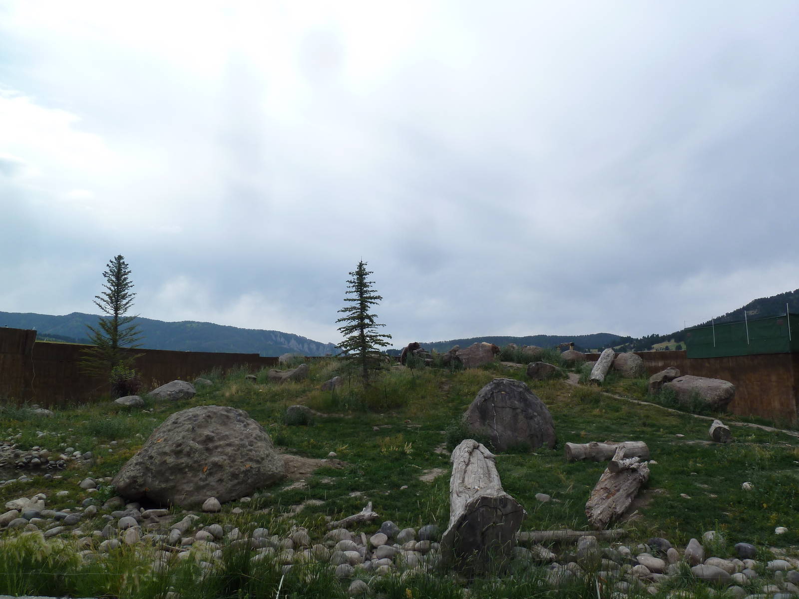 Grizzly Bear Exhibit