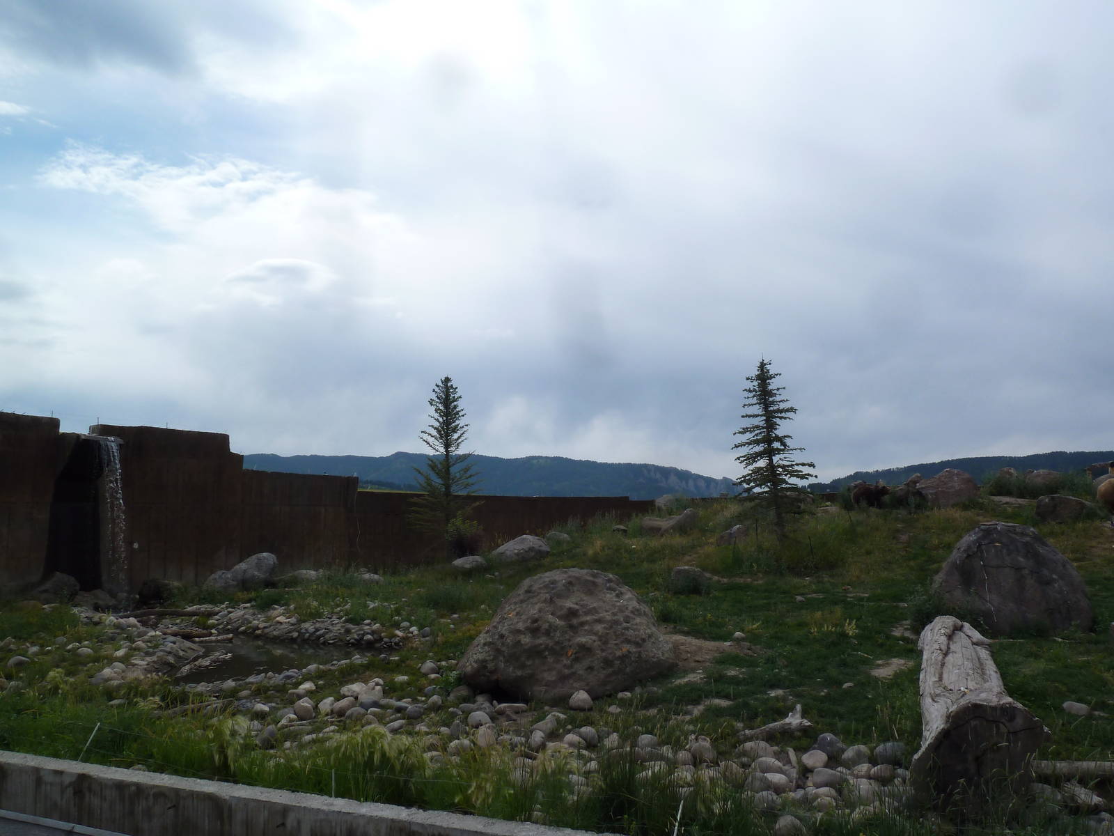 Grizzly Bear Exhibit