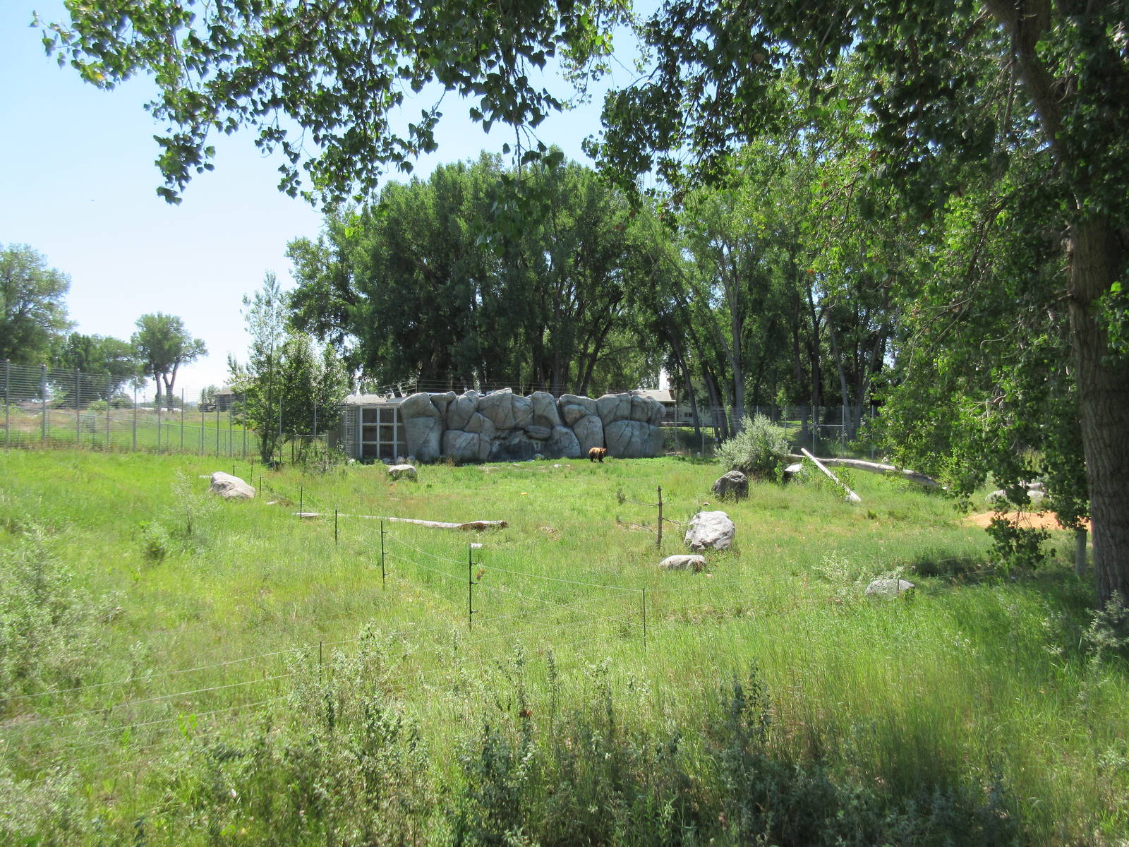 Grizzly Bear Exhibit