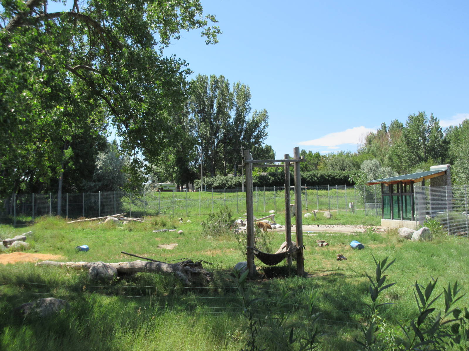 Grizzly Bear Exhibit