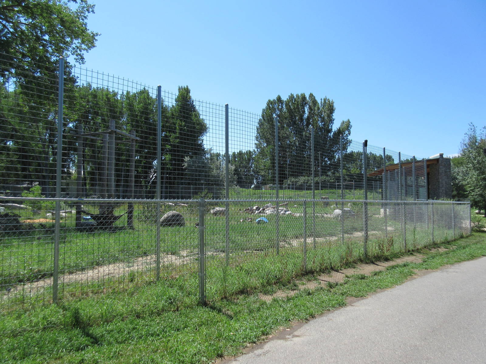 Grizzly Bear Exhibit