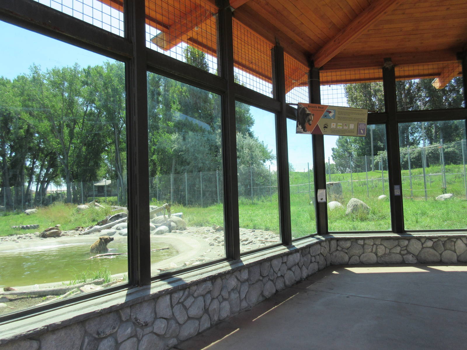 Grizzly Bear Exhibit