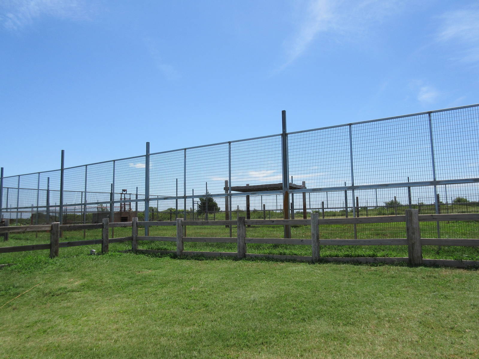 Grizzly Bear Exhibit