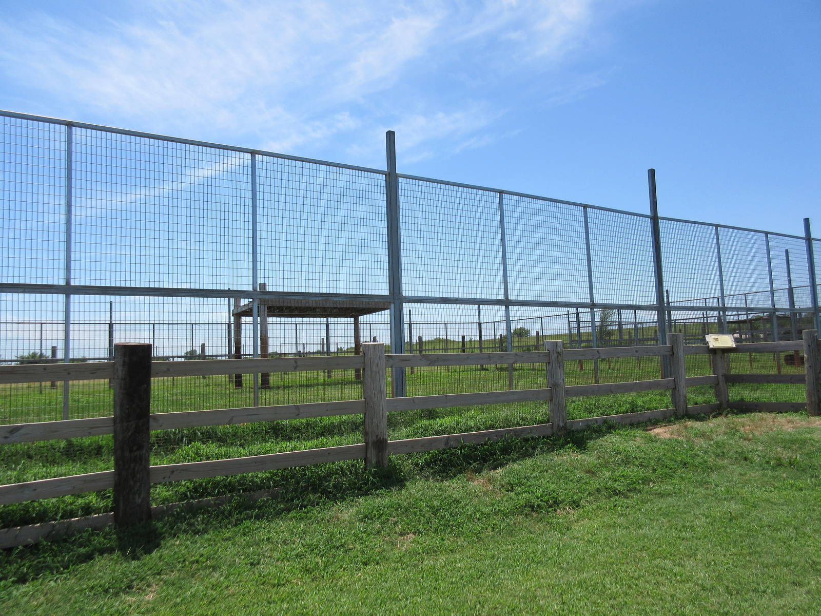 Grizzly Bear Exhibit