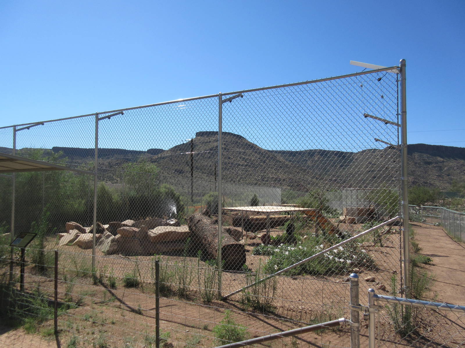 Grizzly Bear Exhibit