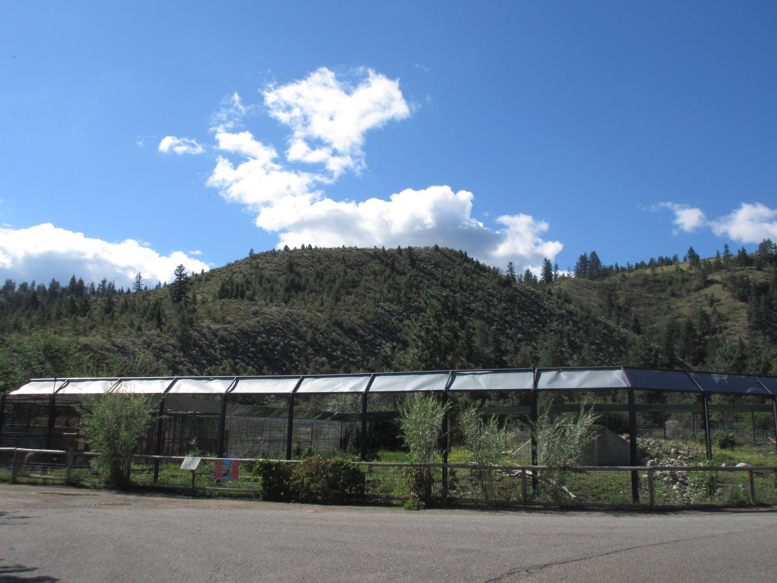 Grizzly Bear Exhibit