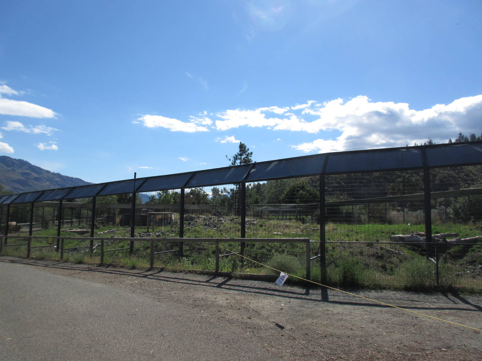 Grizzly Bear Exhibit