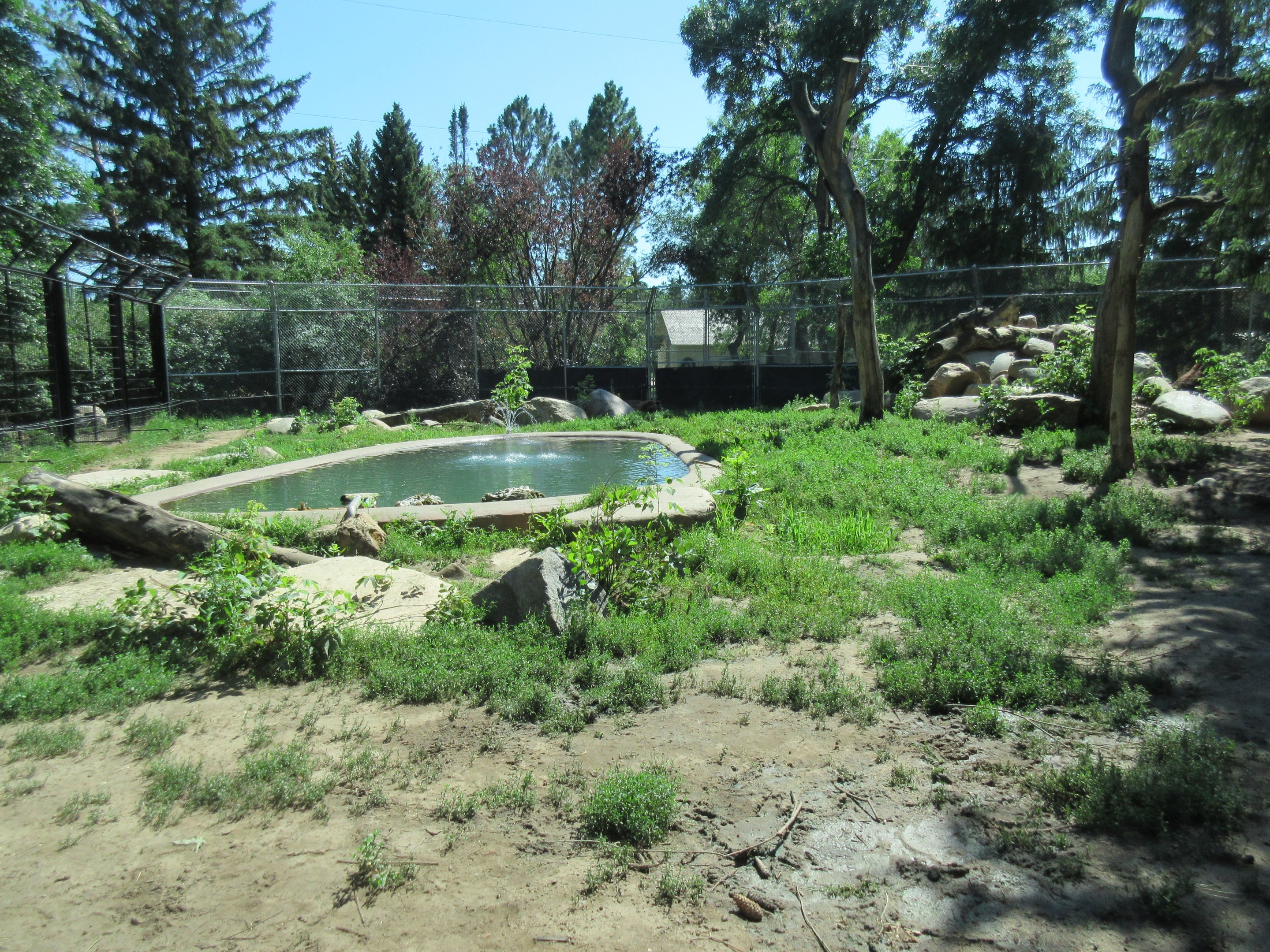 Grizzly Bear Exhibit