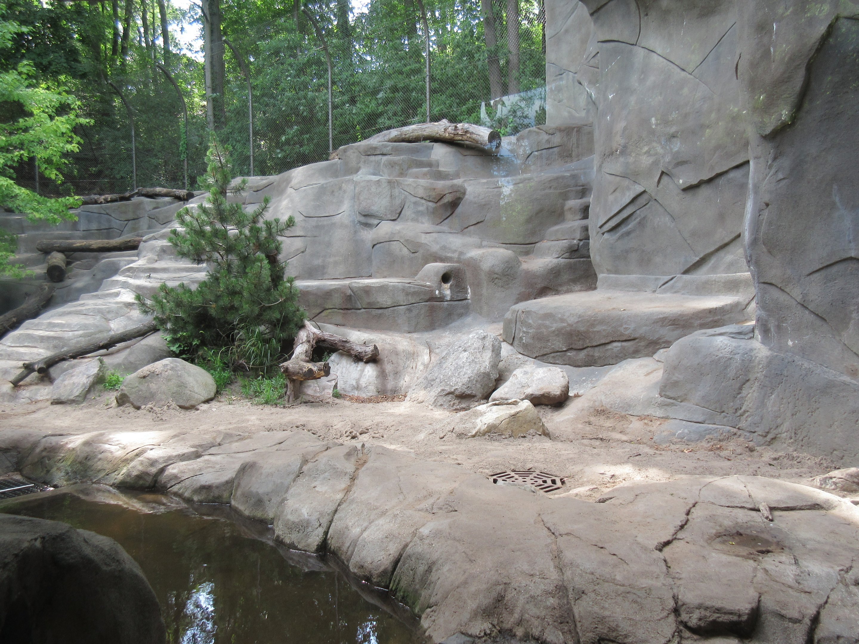 Grizzly Bear Exhibit