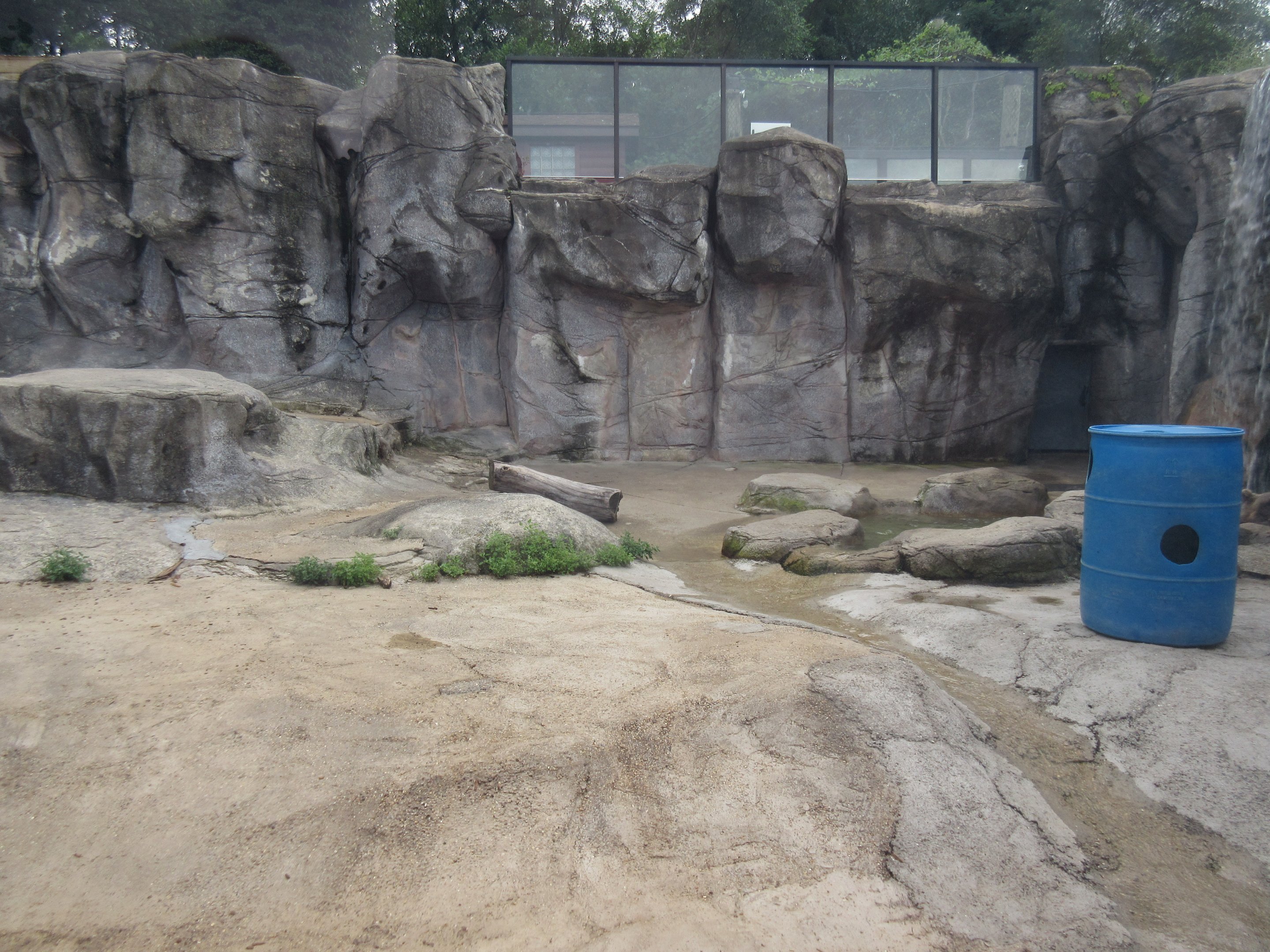 Grizzly Bear Exhibit