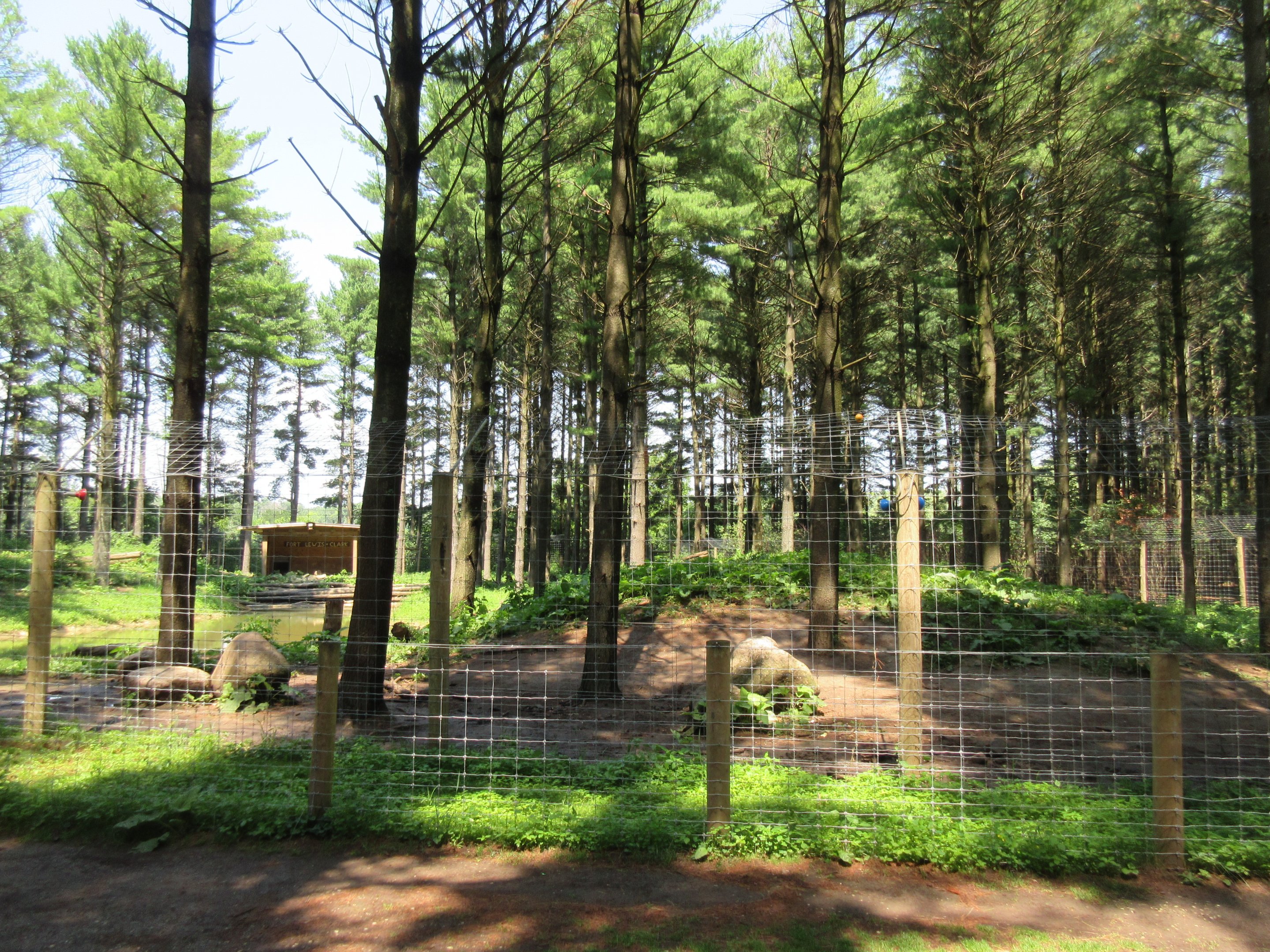 Grizzly Bear Exhibit