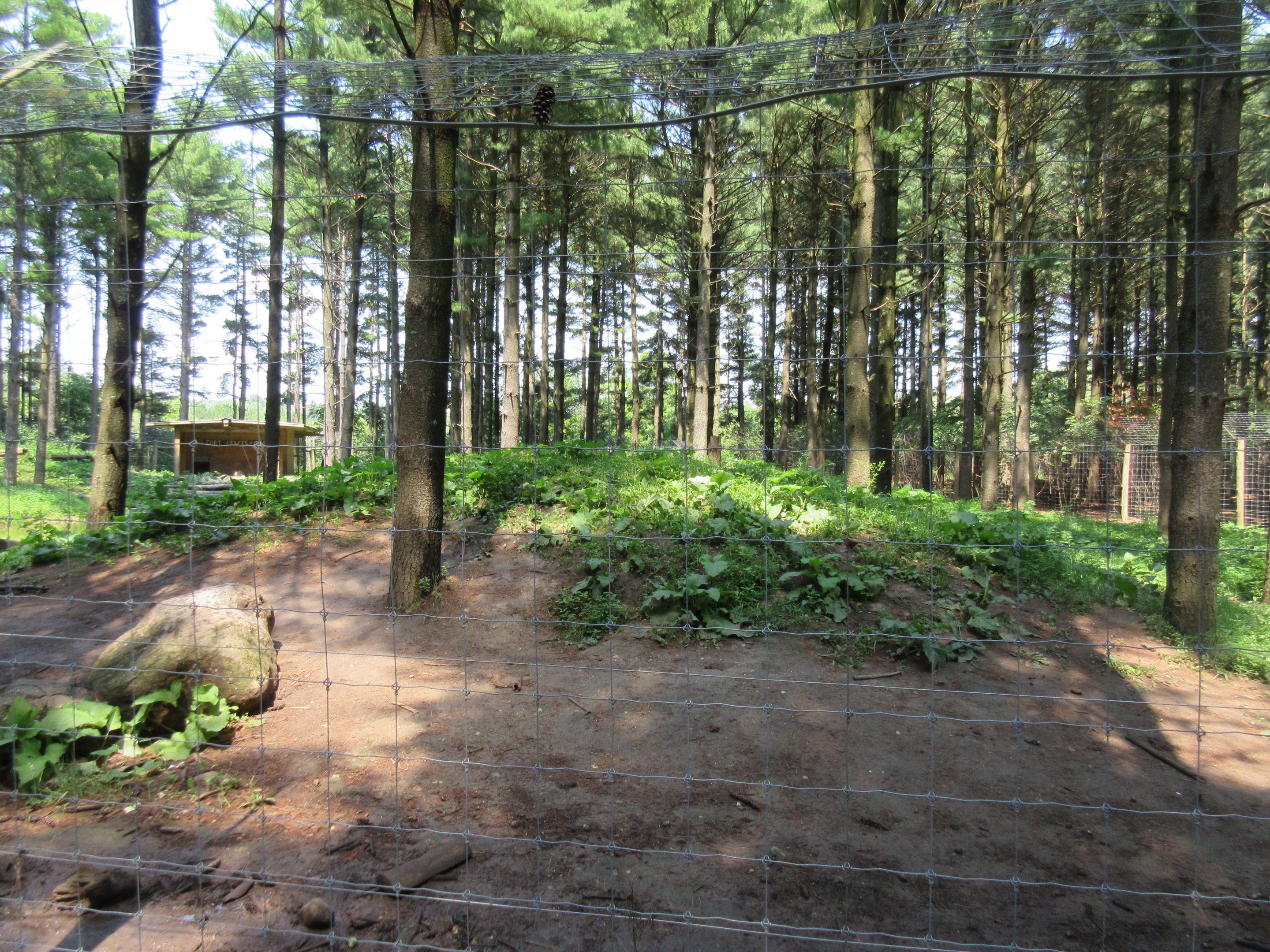 Grizzly Bear Exhibit