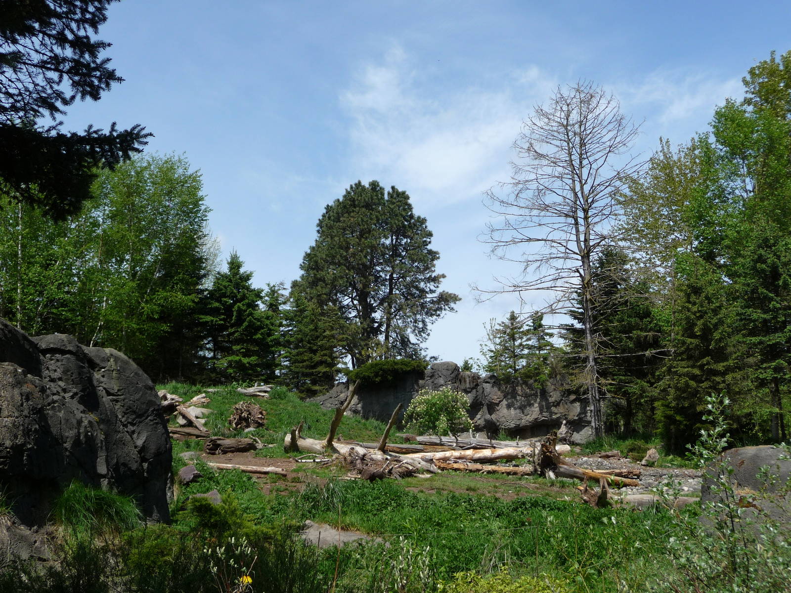 Grizzly Bear Exhibit