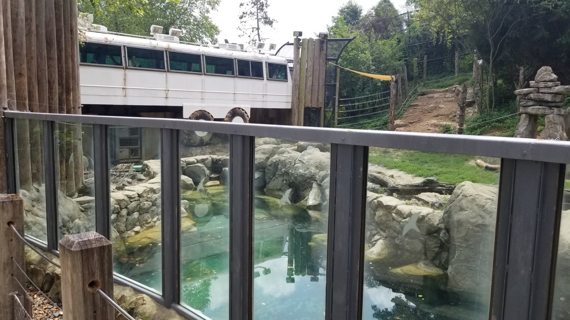 Grizzly bear exhibit