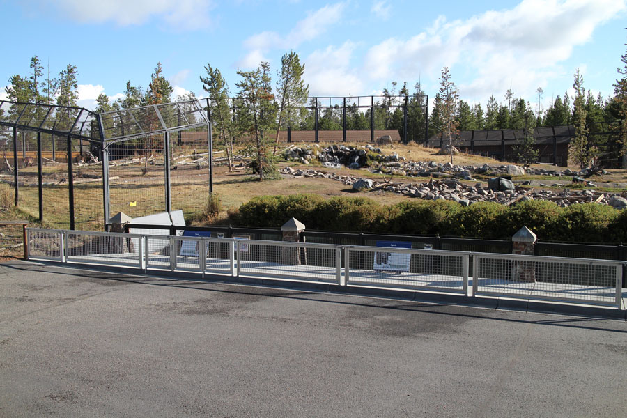 grizzly bear exhibit