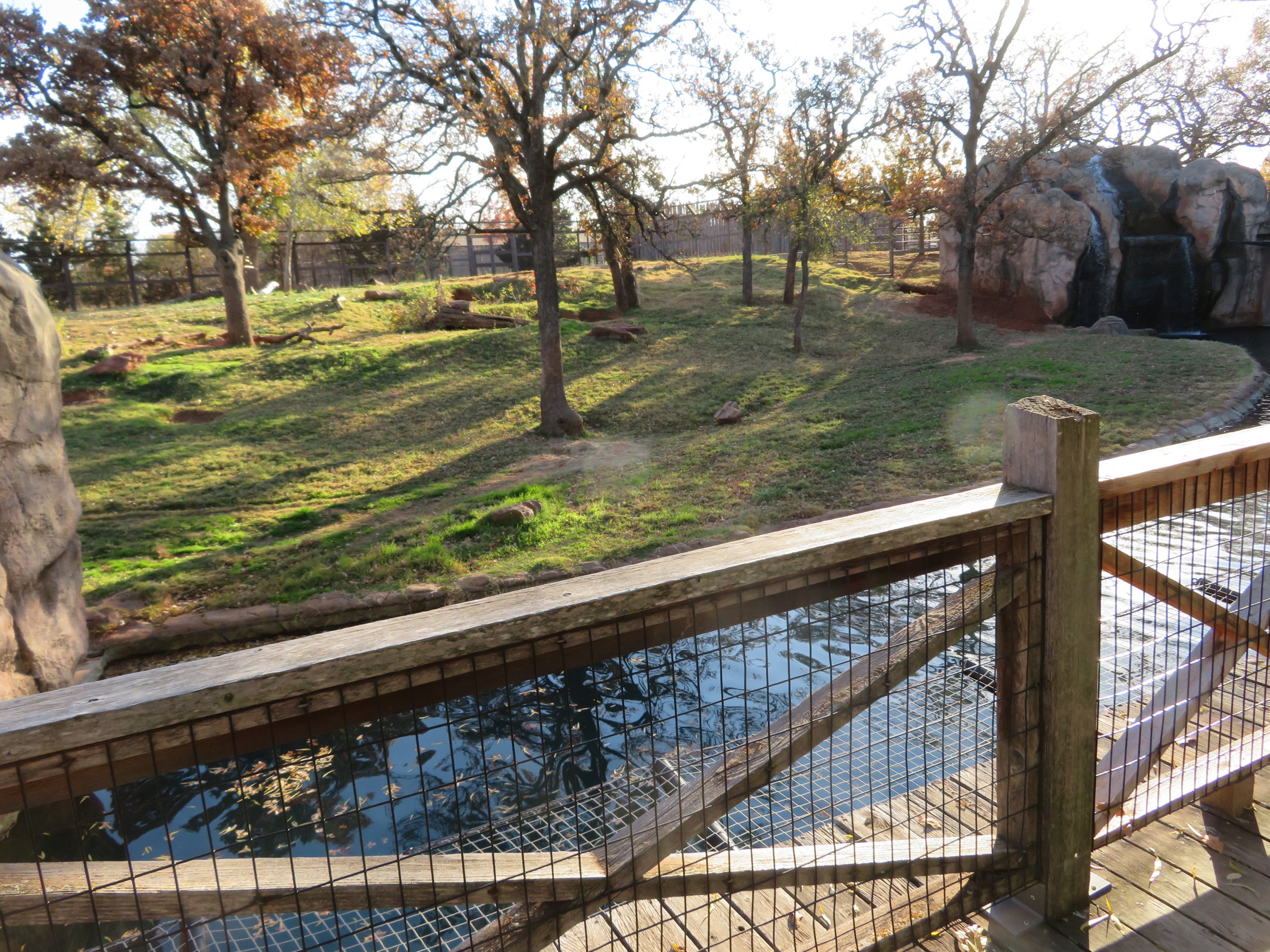 Grizzly Bear Exhibit
