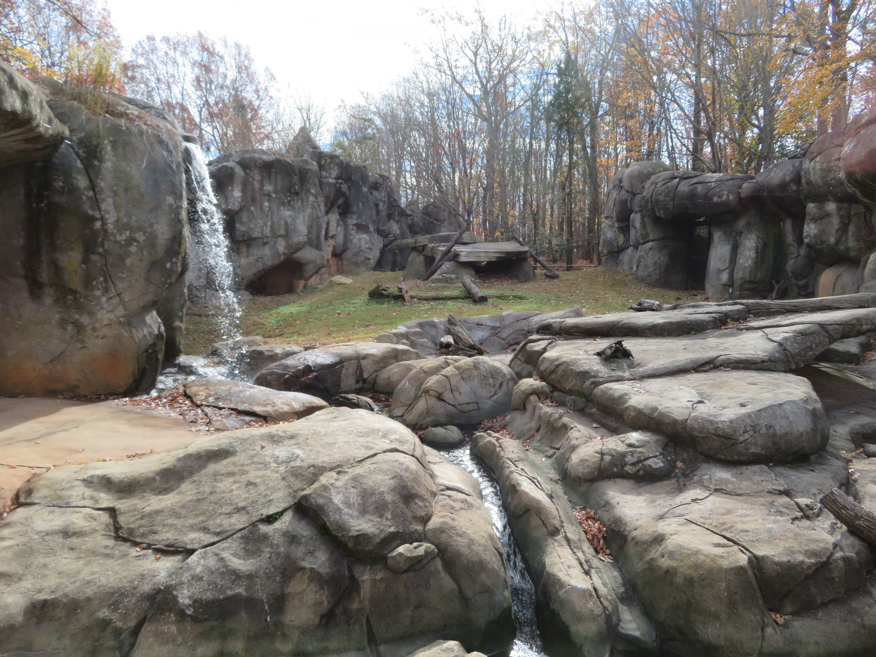 Grizzly Bear Exhibit