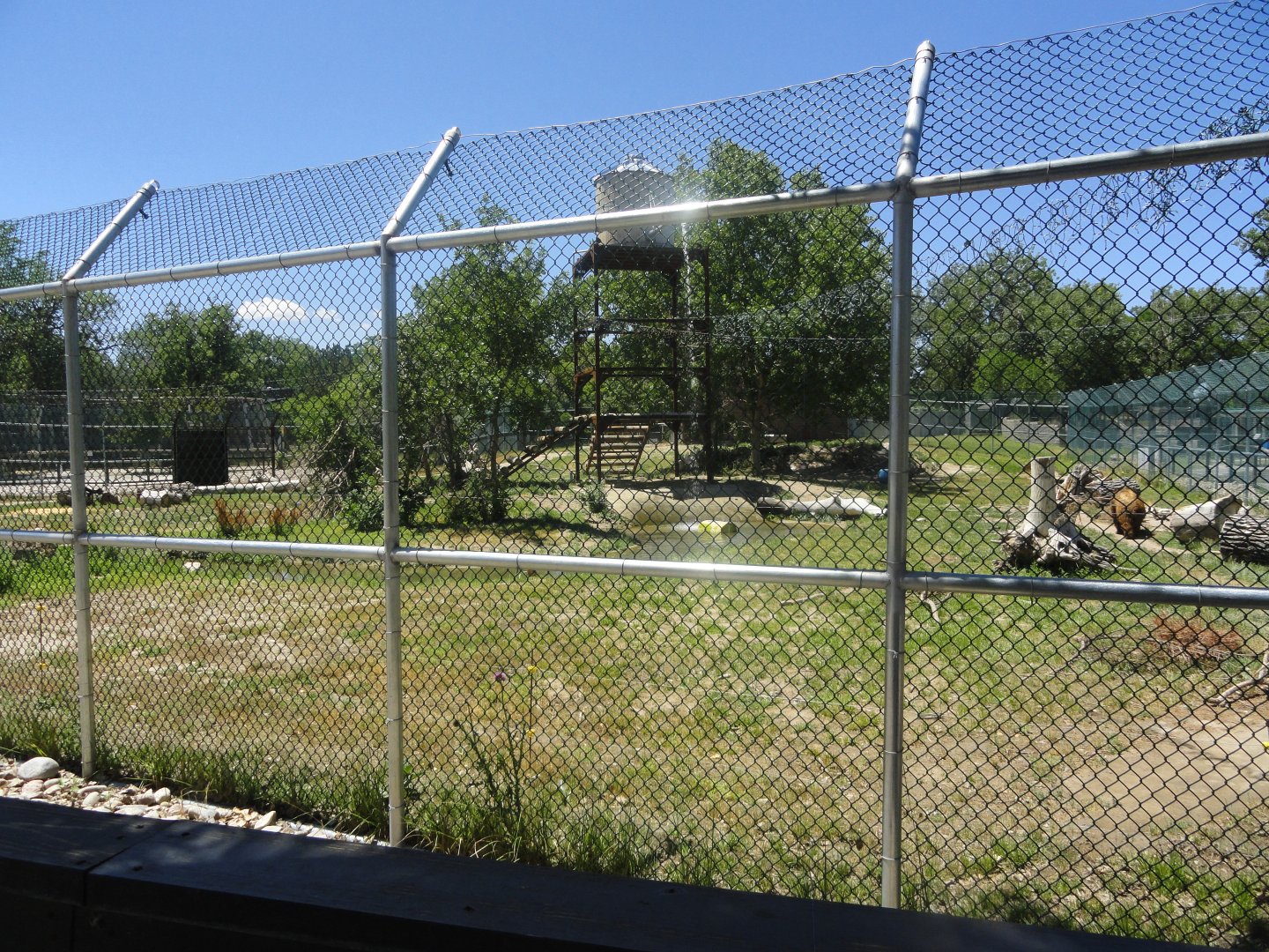 Grizzly Bear Exhibit