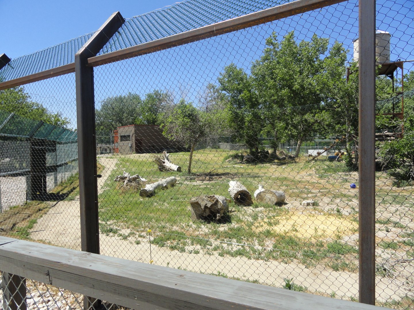 Grizzly Bear Exhibit
