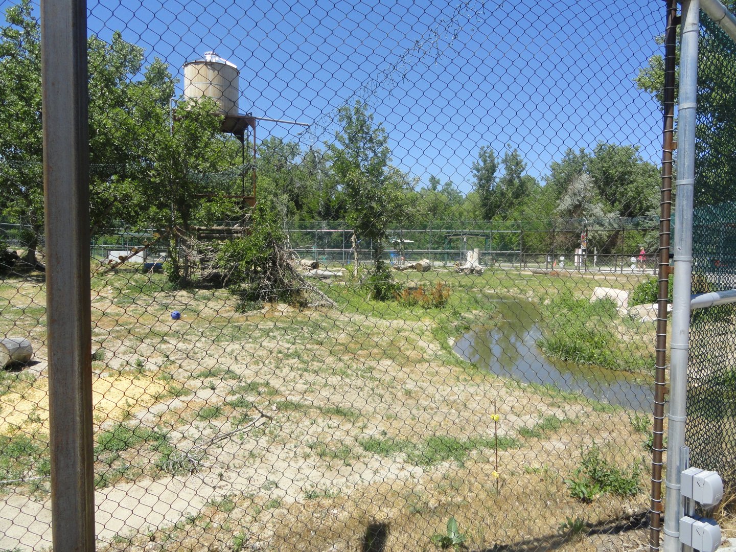 Grizzly Bear Exhibit