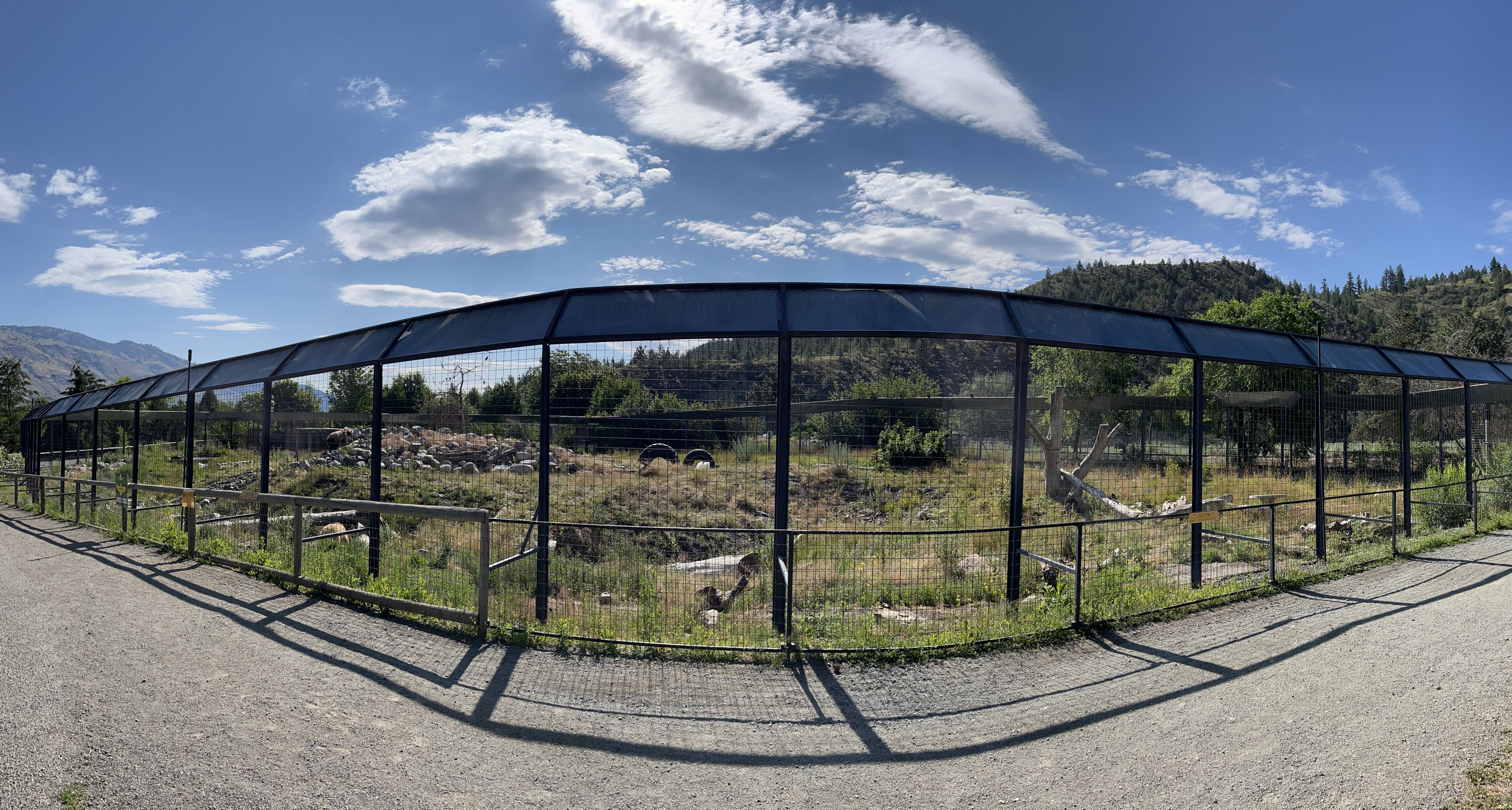 Grizzly Bear Exhibit