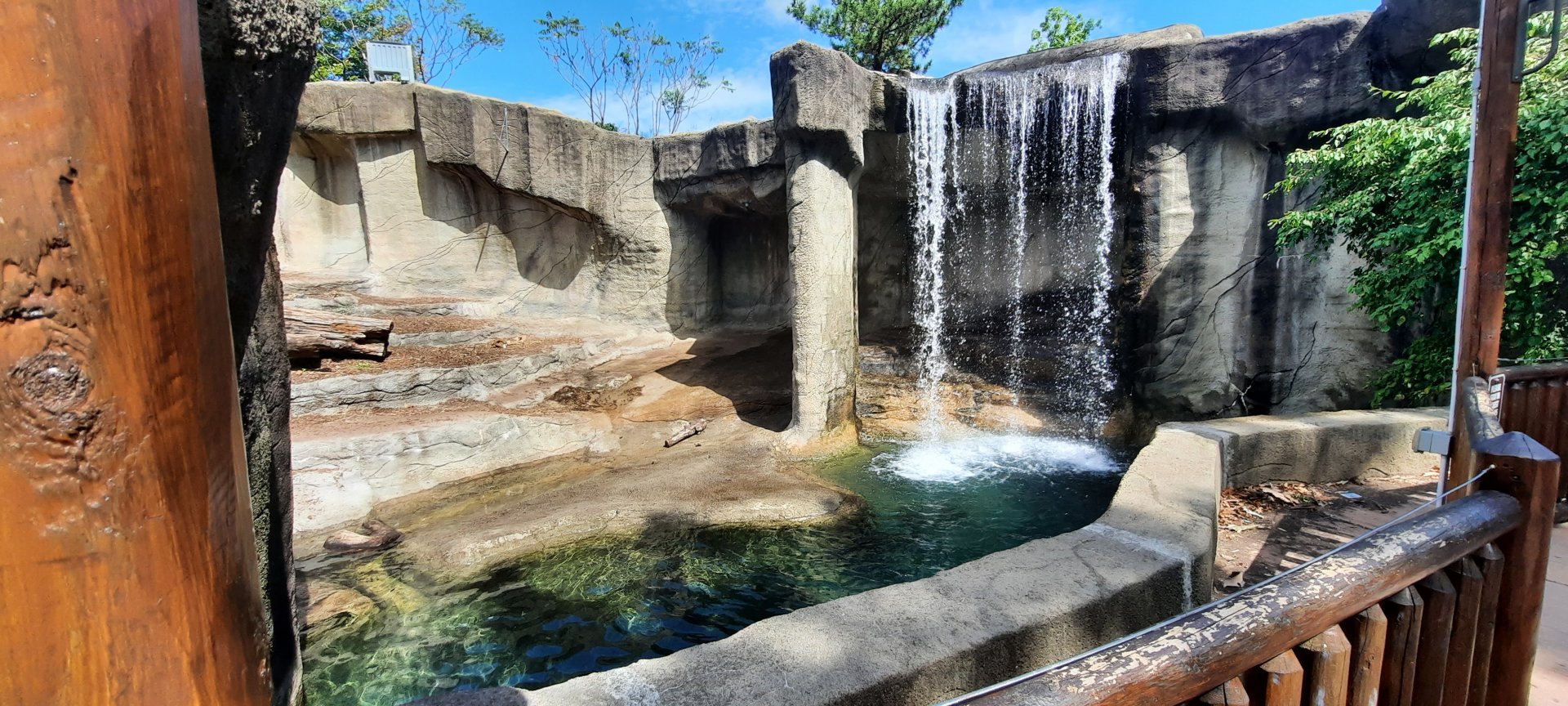 Grizzly Bear Exhibit