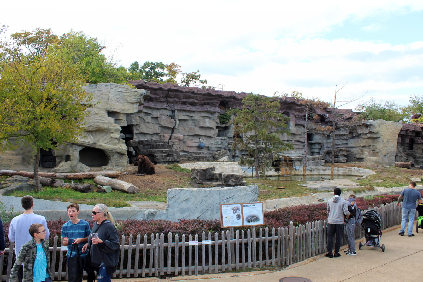 Grizzly Bear Exhibit