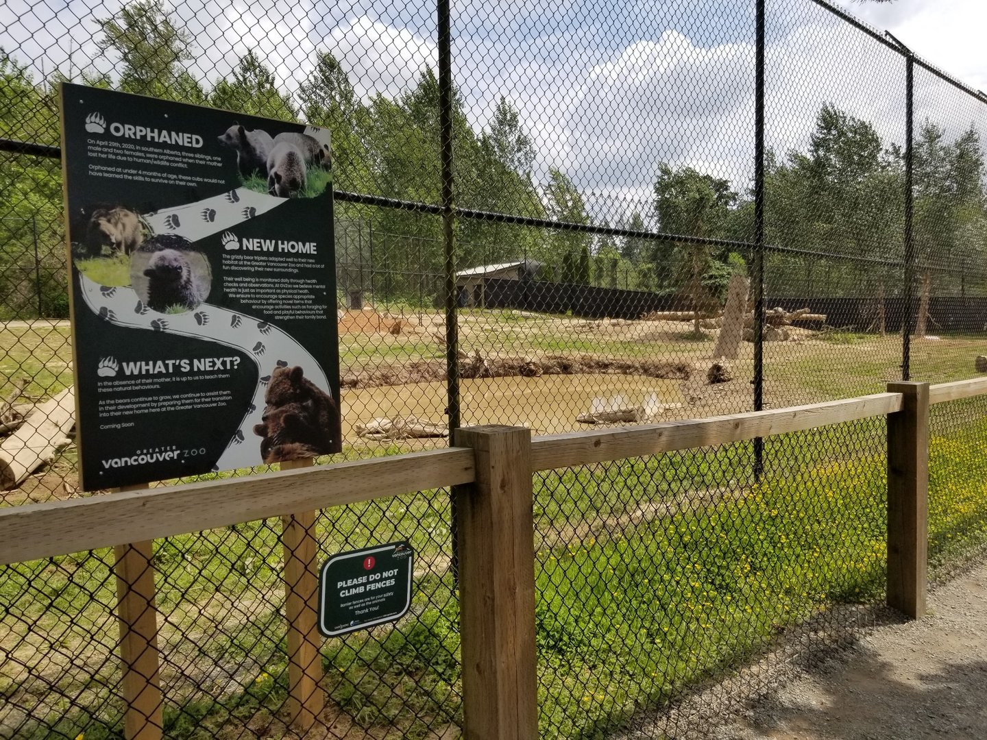 Grizzly bear exhibit