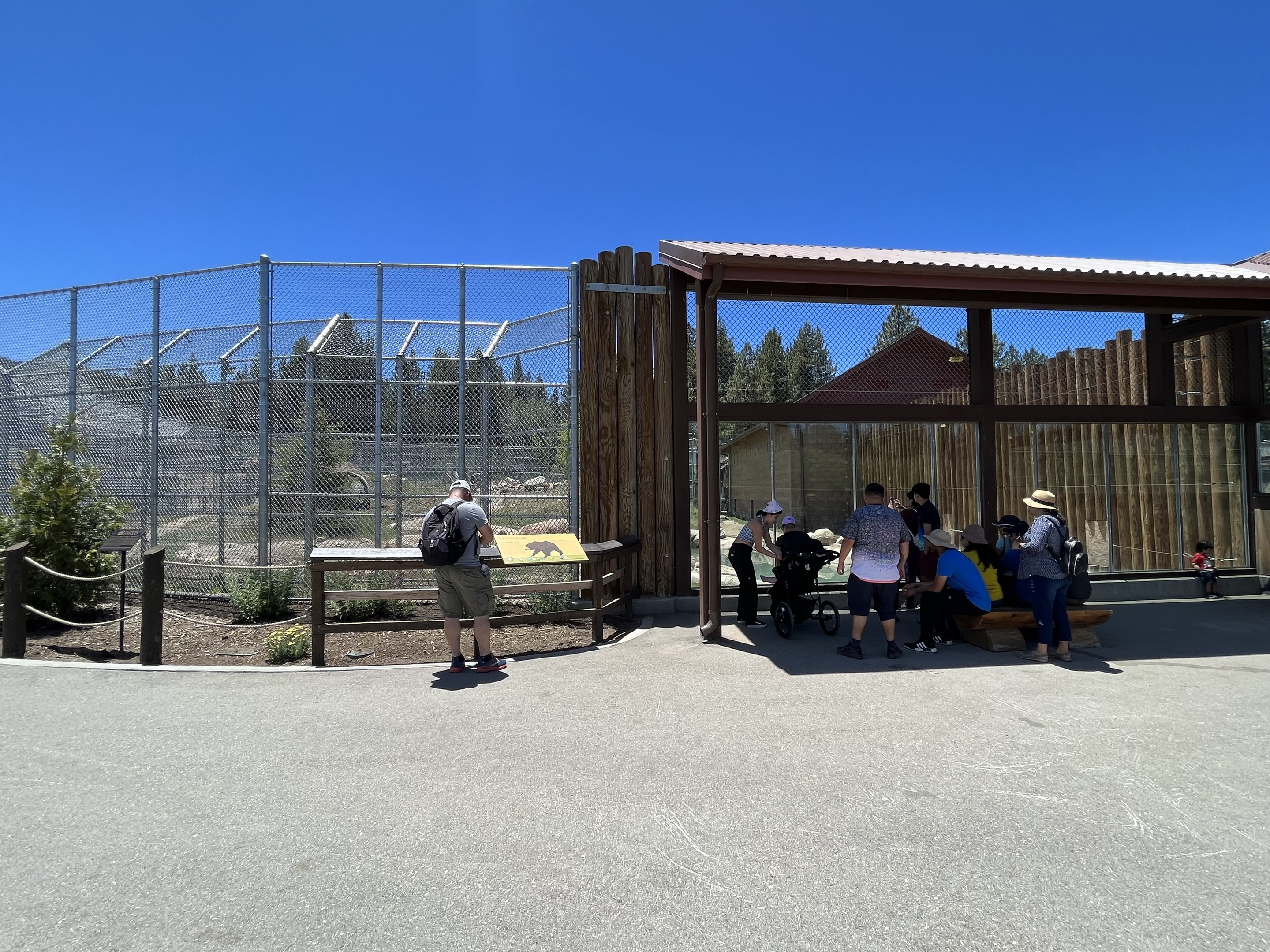 Grizzly Bear Exhibit