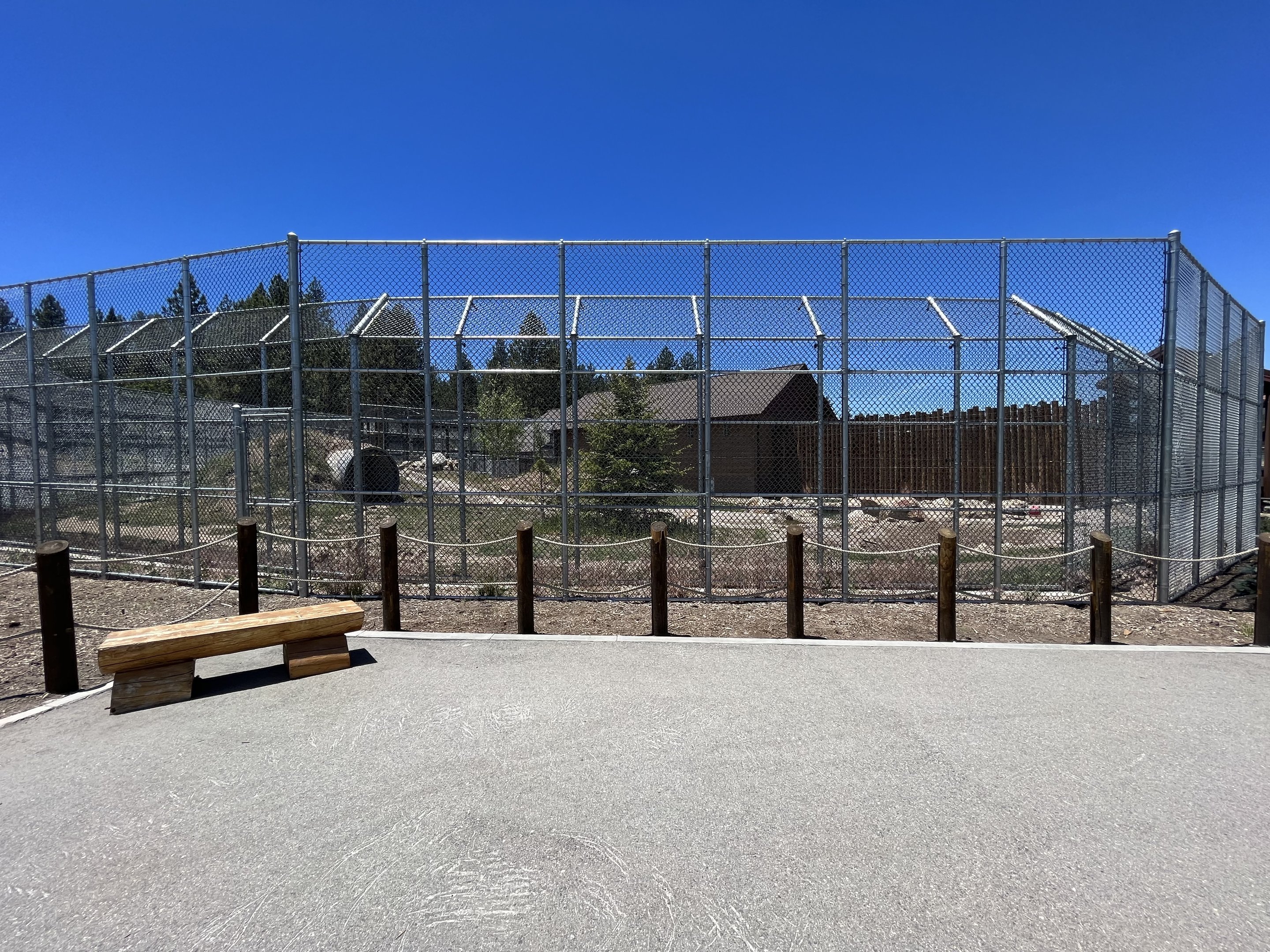 Grizzly Bear Exhibit