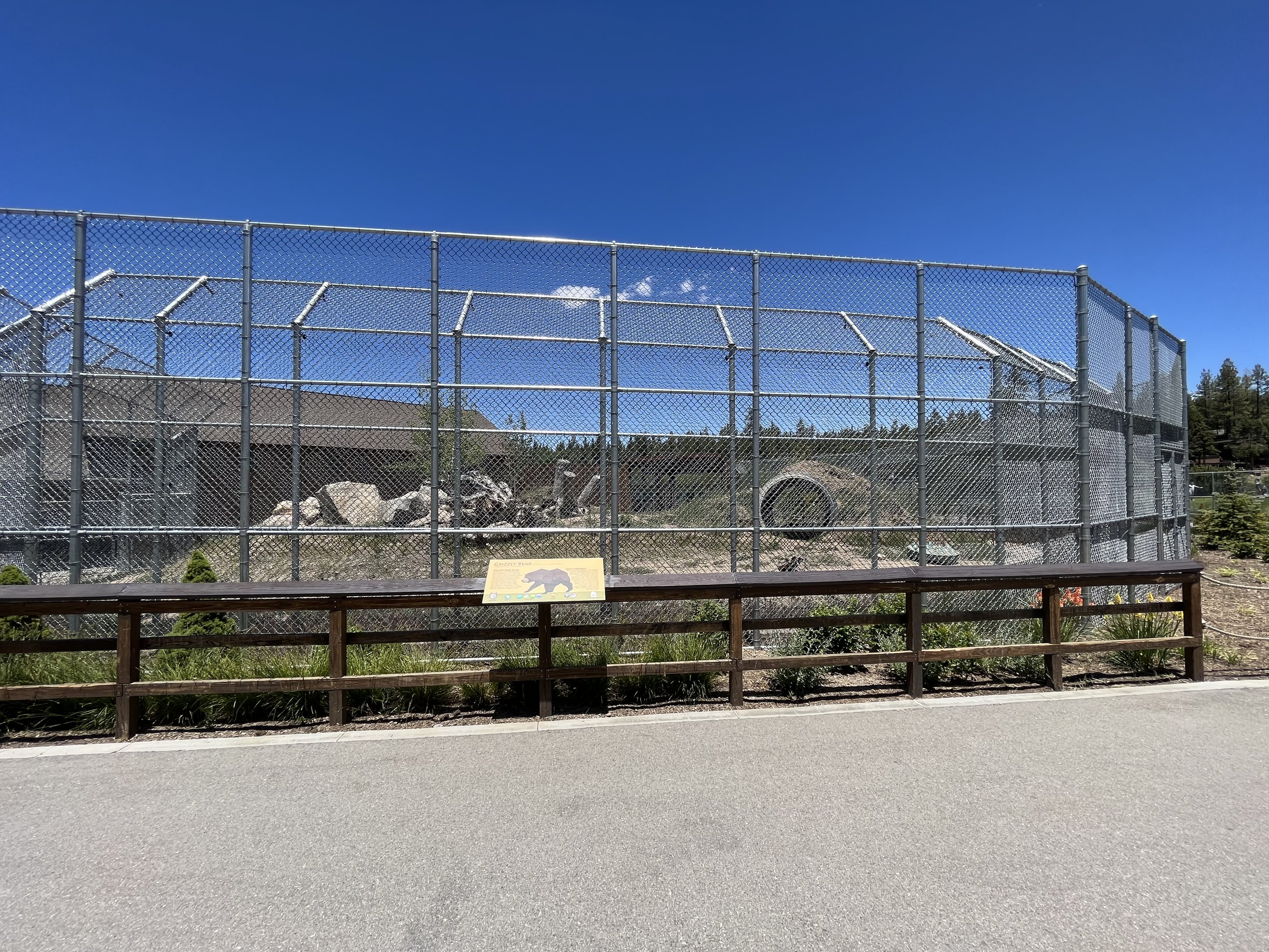 Grizzly Bear Exhibit