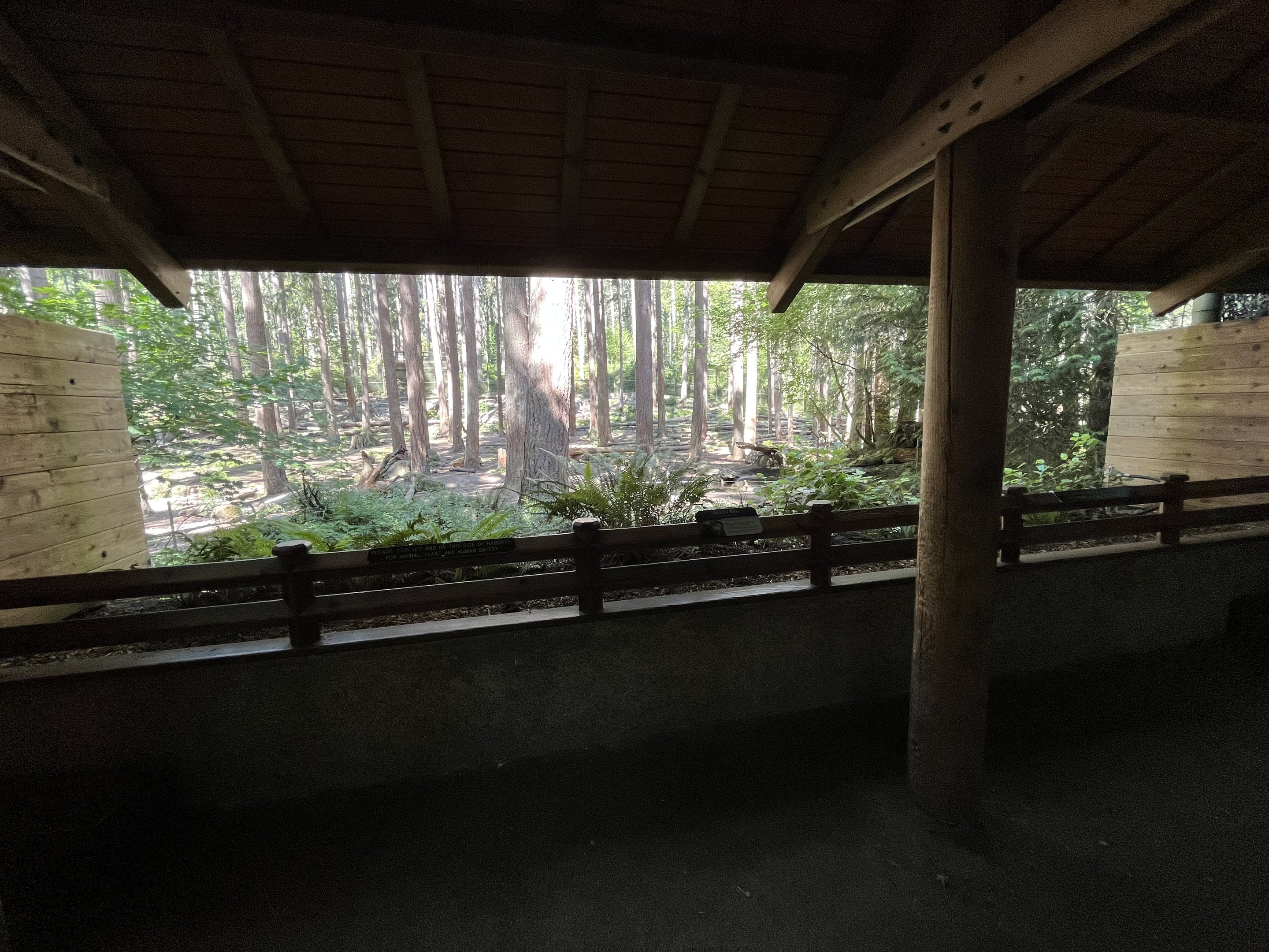 Grizzly Bear Exhibit