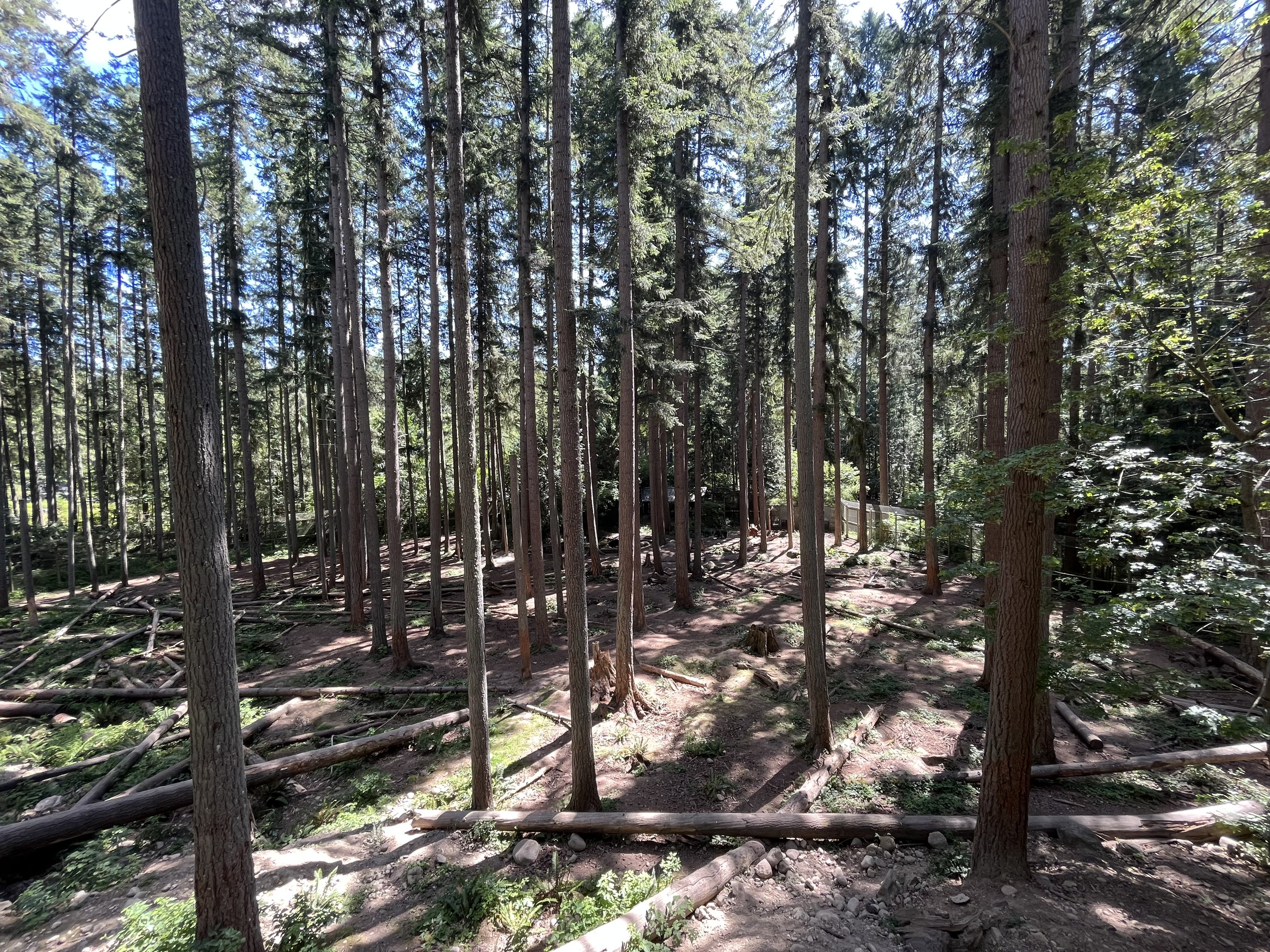 Grizzly Bear Exhibit