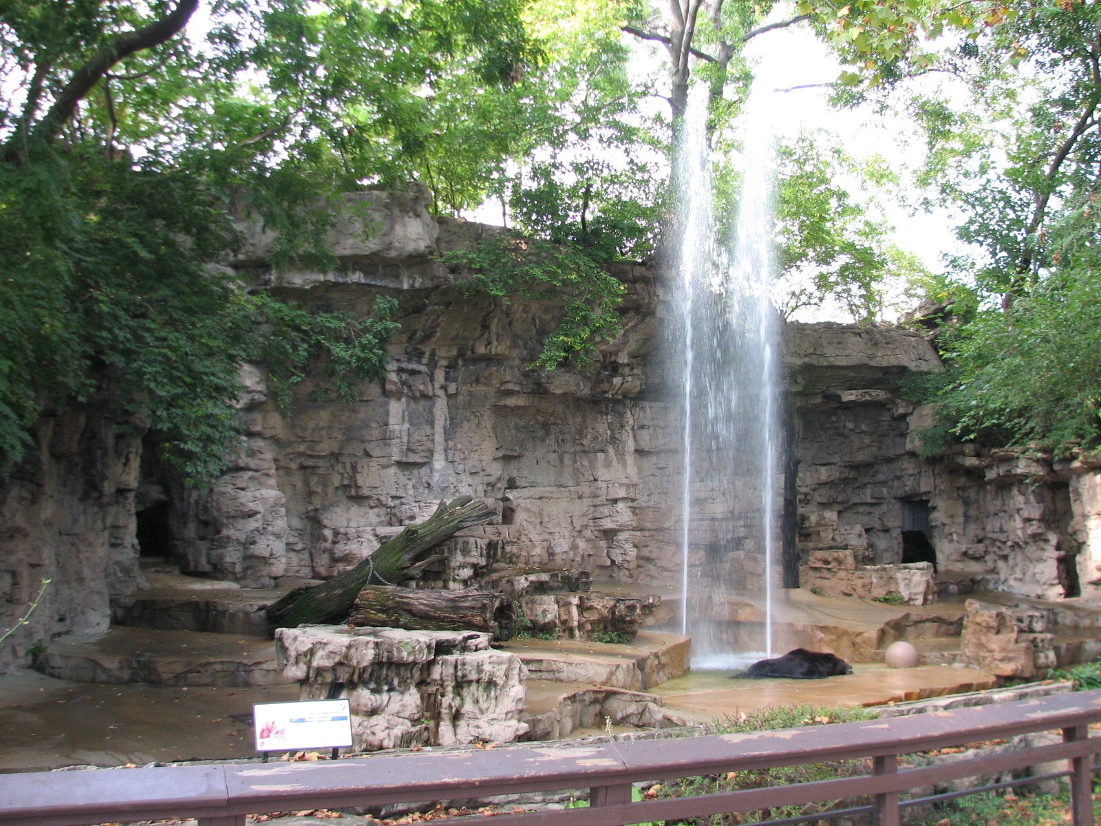 Grizzly Bear Exhibit