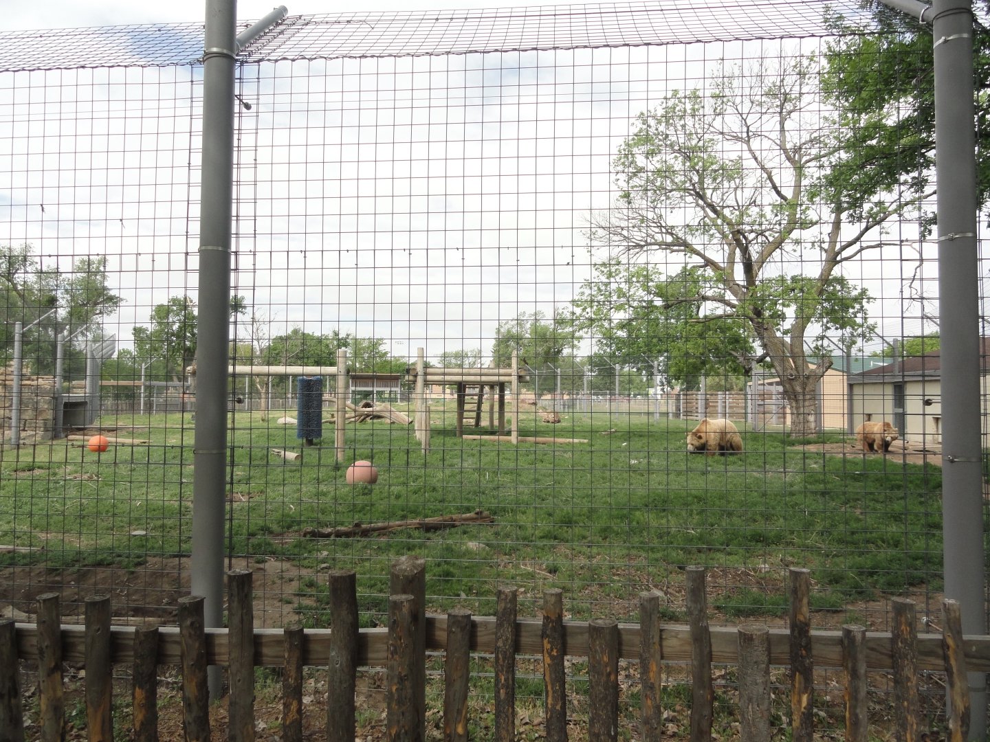 Grizzly Bear Exhibit