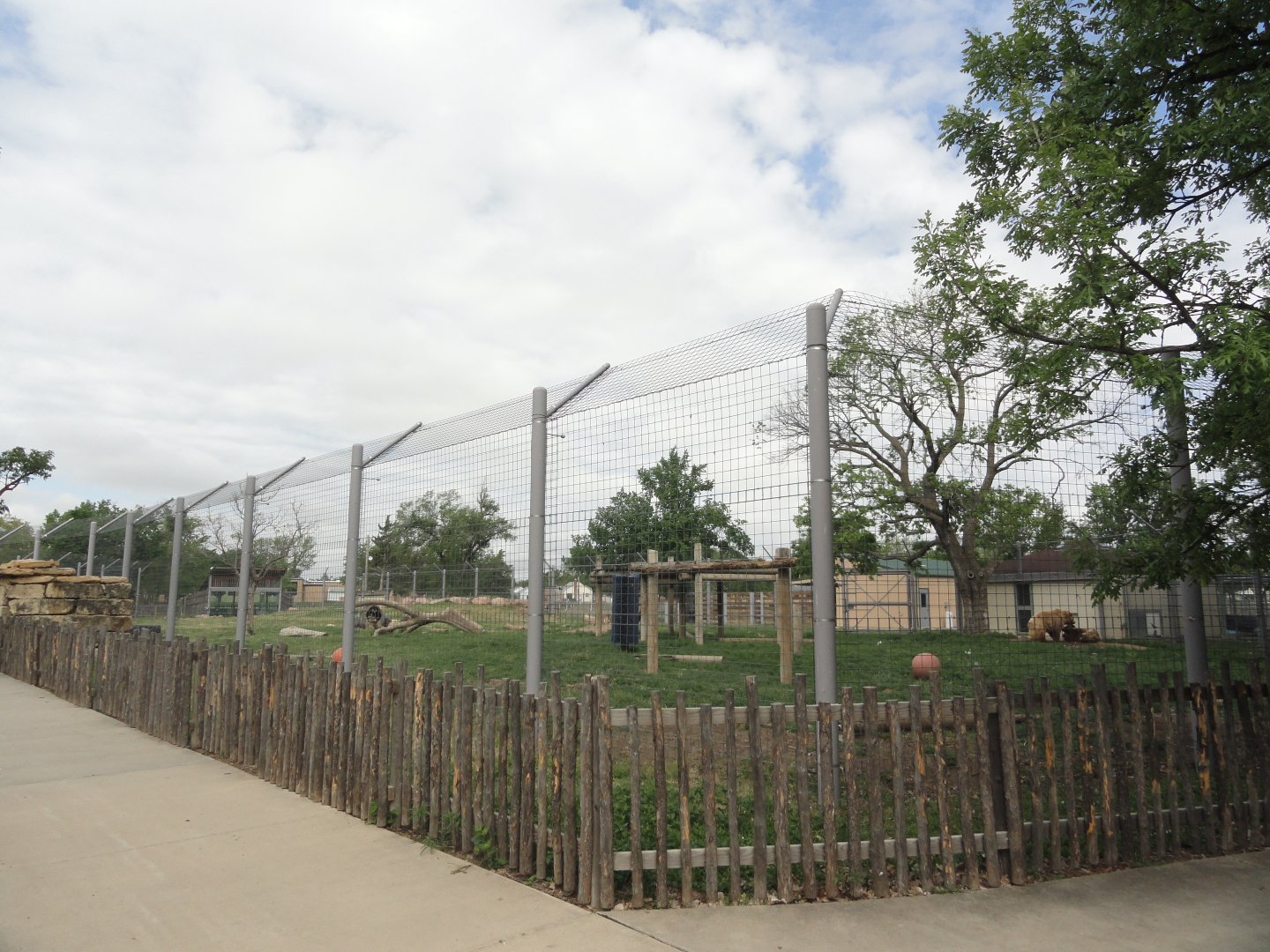 Grizzly Bear Exhibit