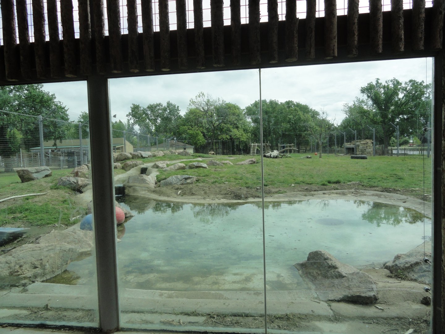 Grizzly Bear Exhibit