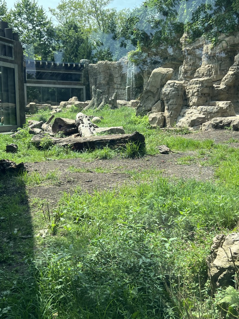 Grizzly Bear Exhibit