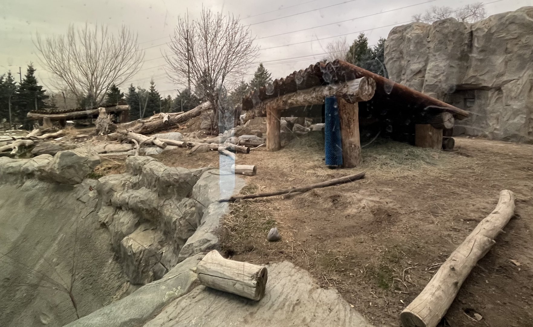 Grizzly bear exhibit