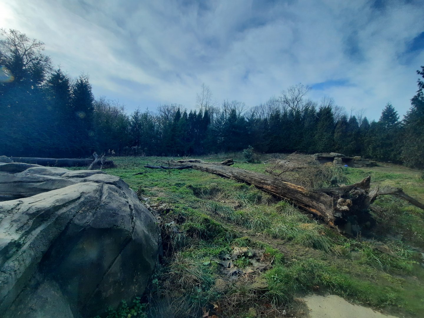 Grizzly Bear Exhibit