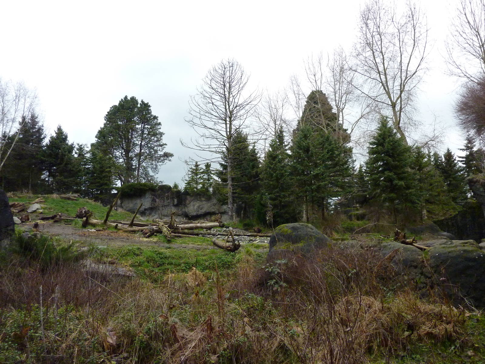 Grizzly Bear Exhibit