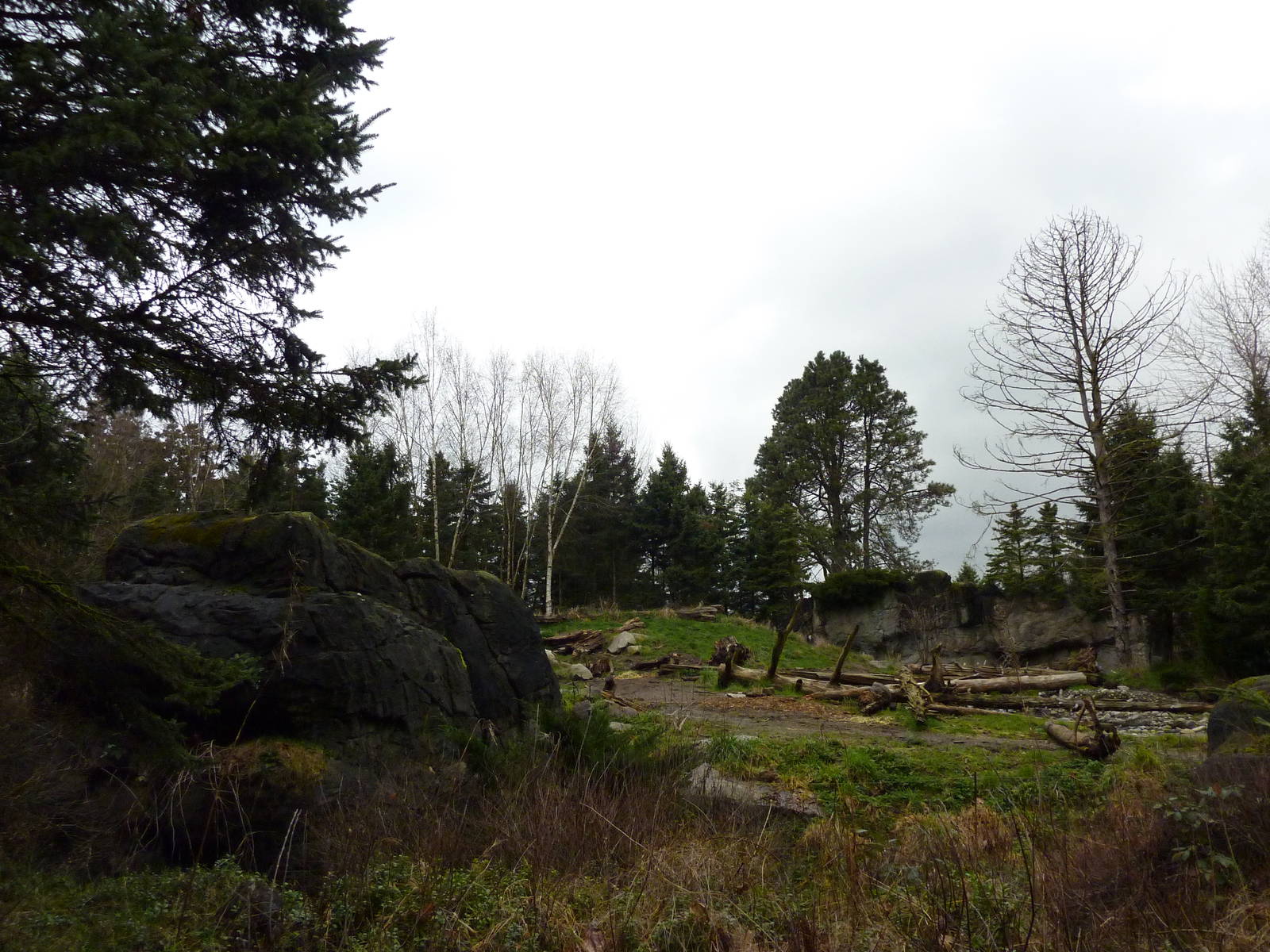 Grizzly Bear Exhibit